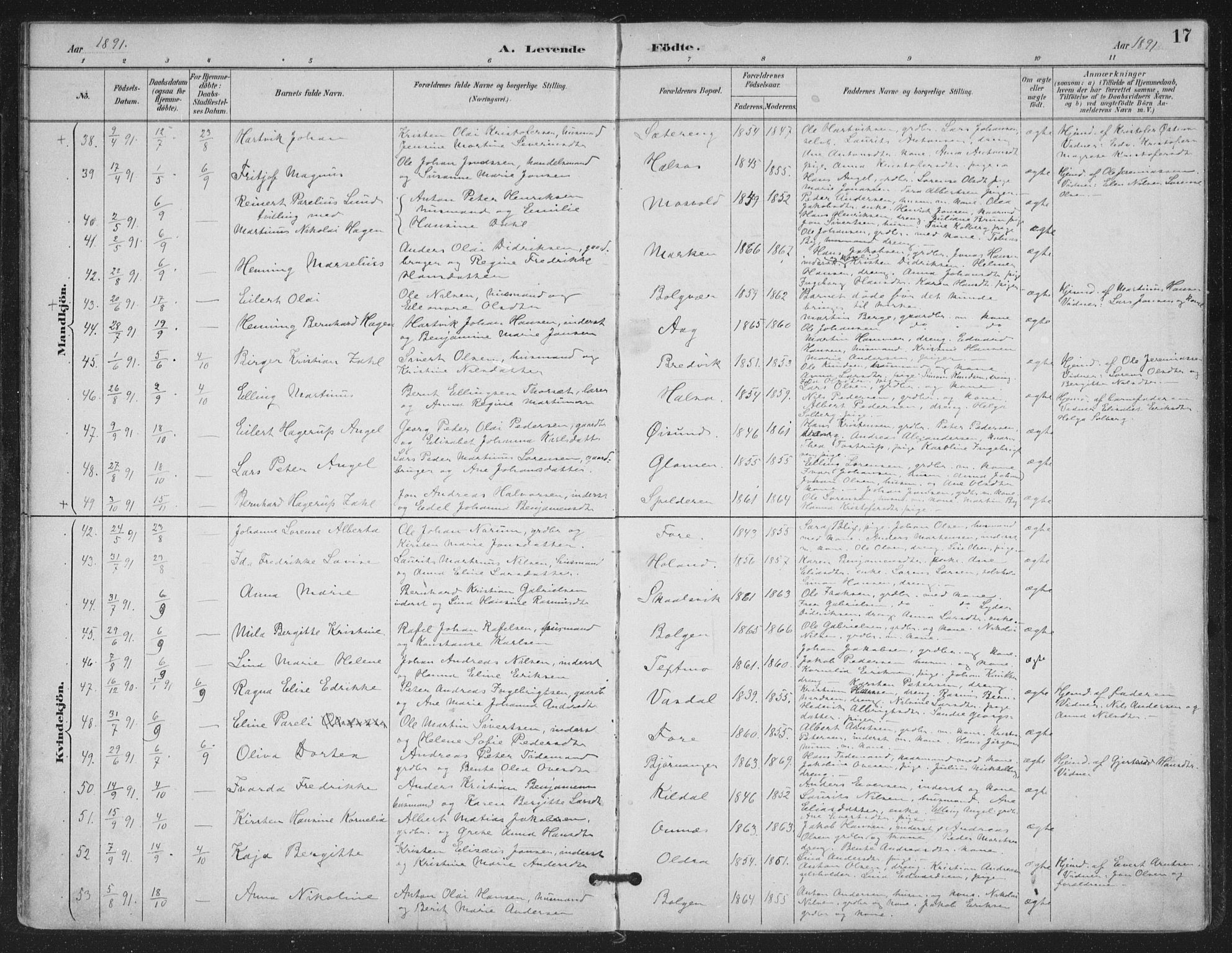 Ministerialprotokoller, klokkerbøker og fødselsregistre - Nordland, AV/SAT-A-1459/843/L0628: Parish register (official) no. 843A03, 1889-1907, p. 17