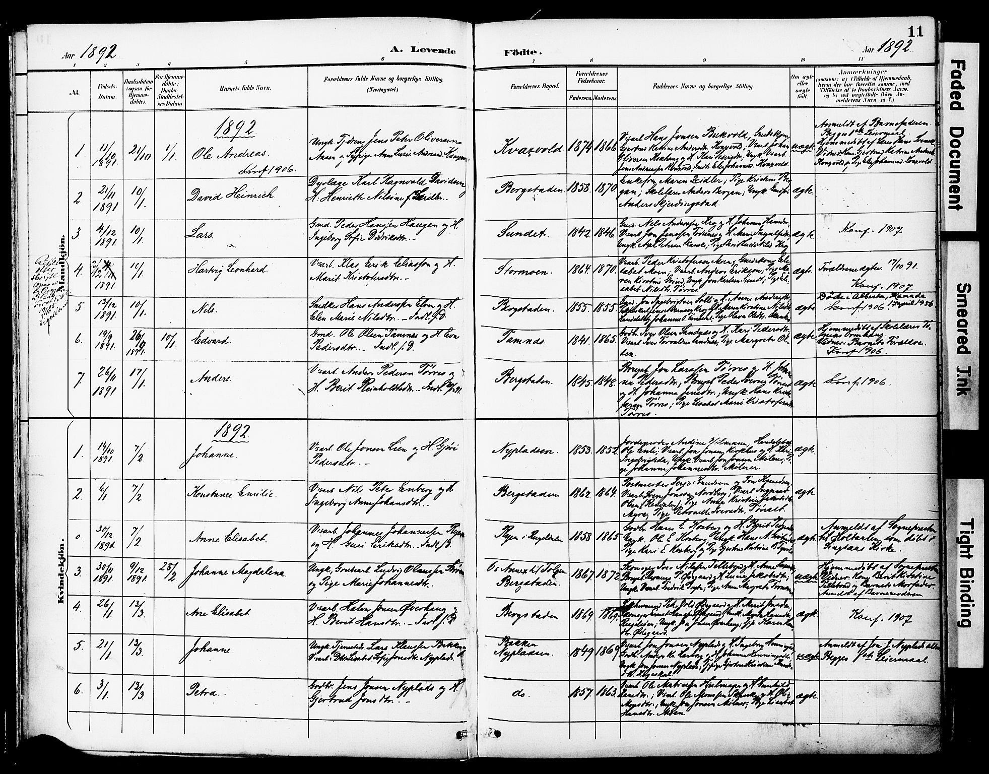 Ministerialprotokoller, klokkerbøker og fødselsregistre - Sør-Trøndelag, SAT/A-1456/681/L0935: Parish register (official) no. 681A13, 1890-1898, p. 11