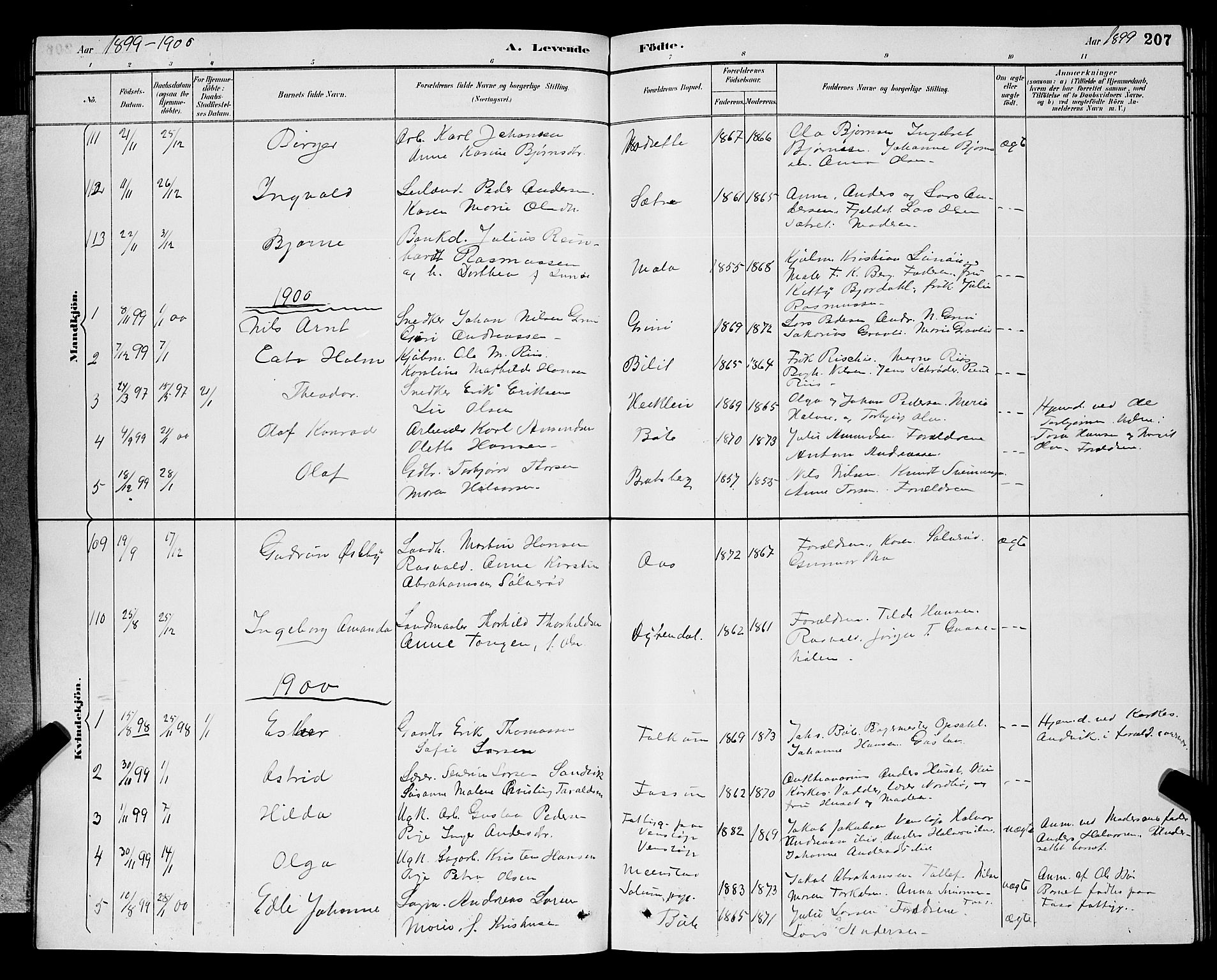 Gjerpen kirkebøker, AV/SAKO-A-265/G/Ga/L0002: Parish register (copy) no. I 2, 1883-1900, p. 207