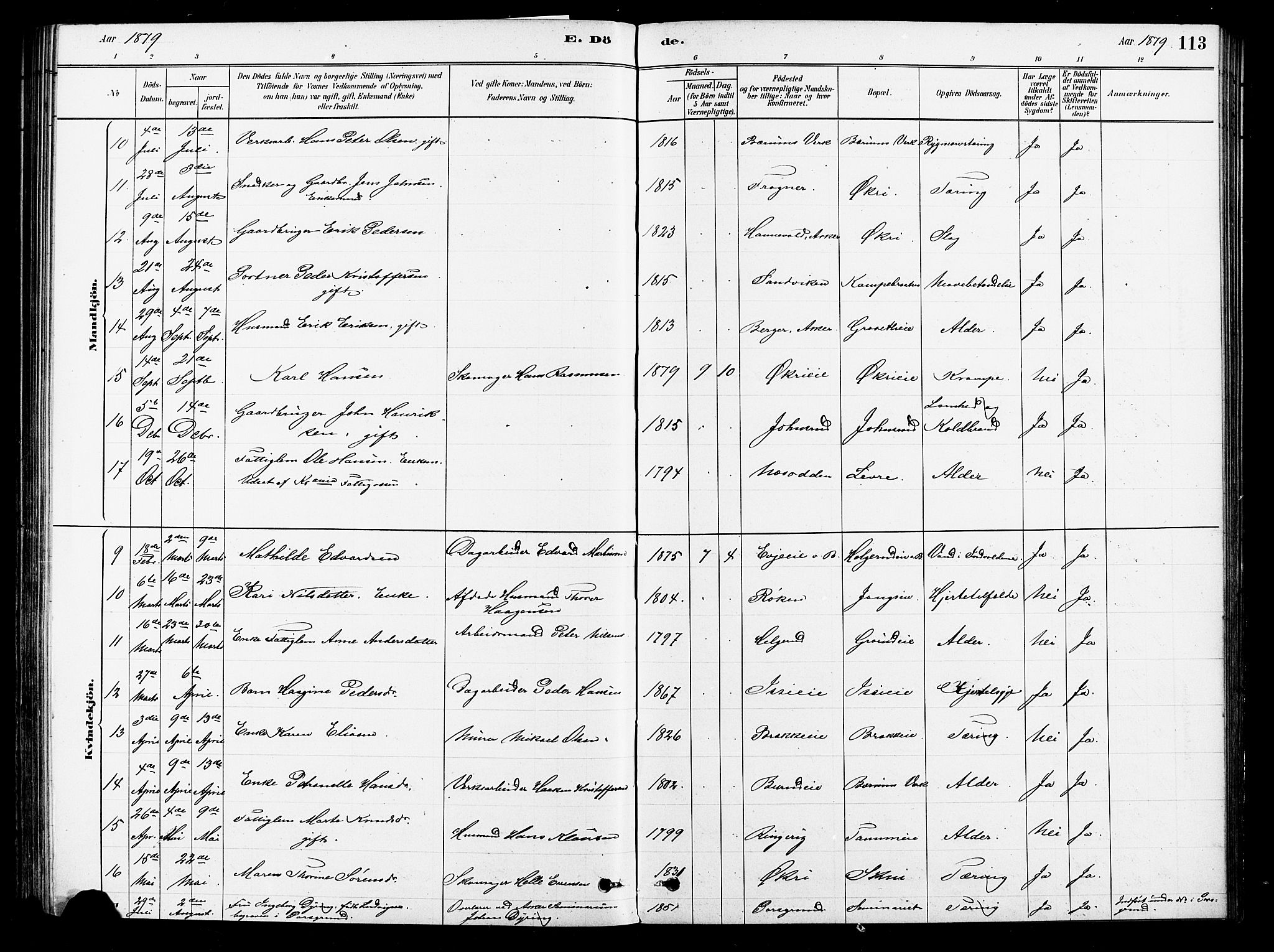 Asker prestekontor Kirkebøker, AV/SAO-A-10256a/F/Fb/L0001: Parish register (official) no. II 1, 1879-1895, p. 113