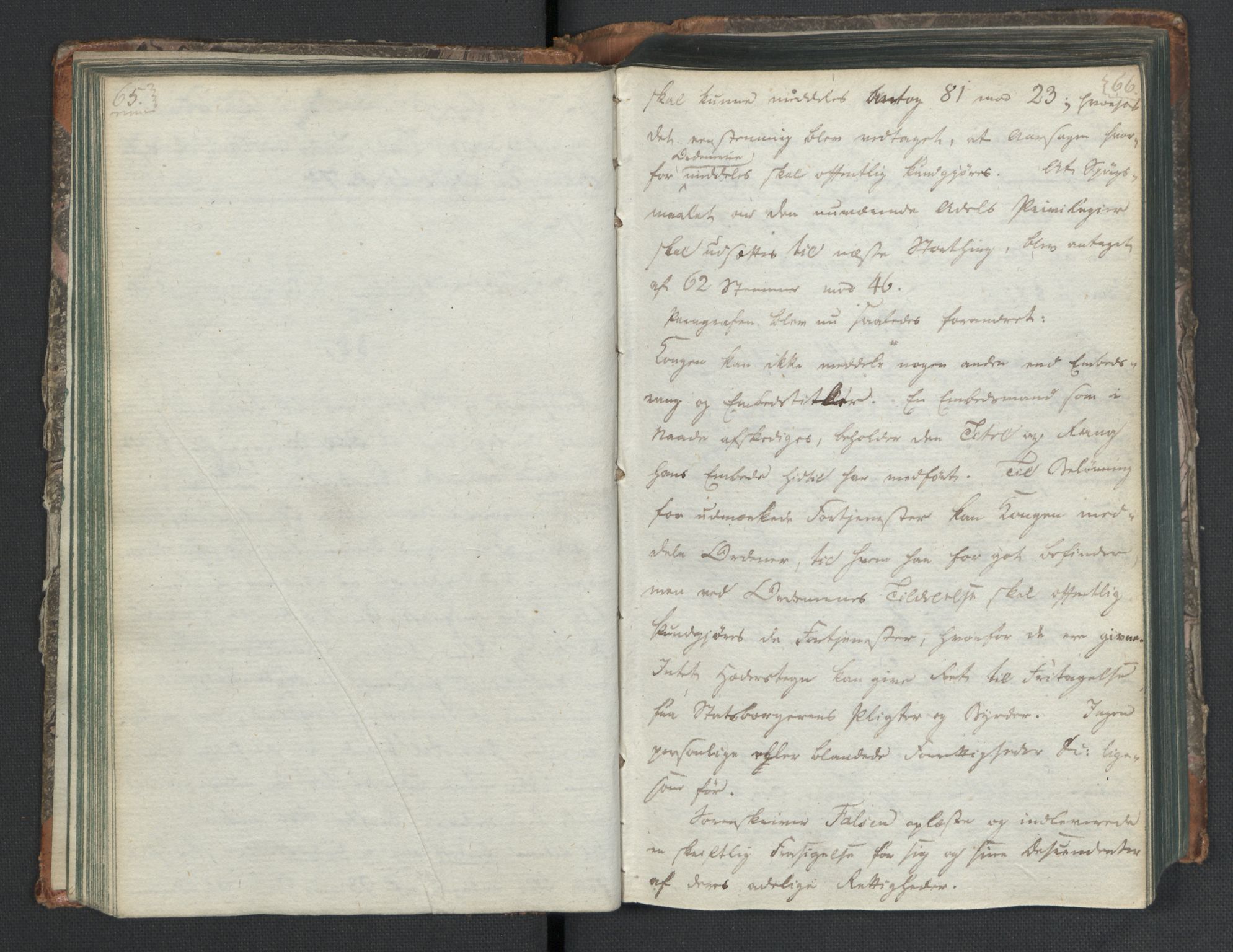 Manuskriptsamlingen, RA/EA-3667/H/L0021: Byfogd Gregers Winther Wulfbergs dagbok under Riksforsamlingen på Eidsvoll, 1814, p. 65-66