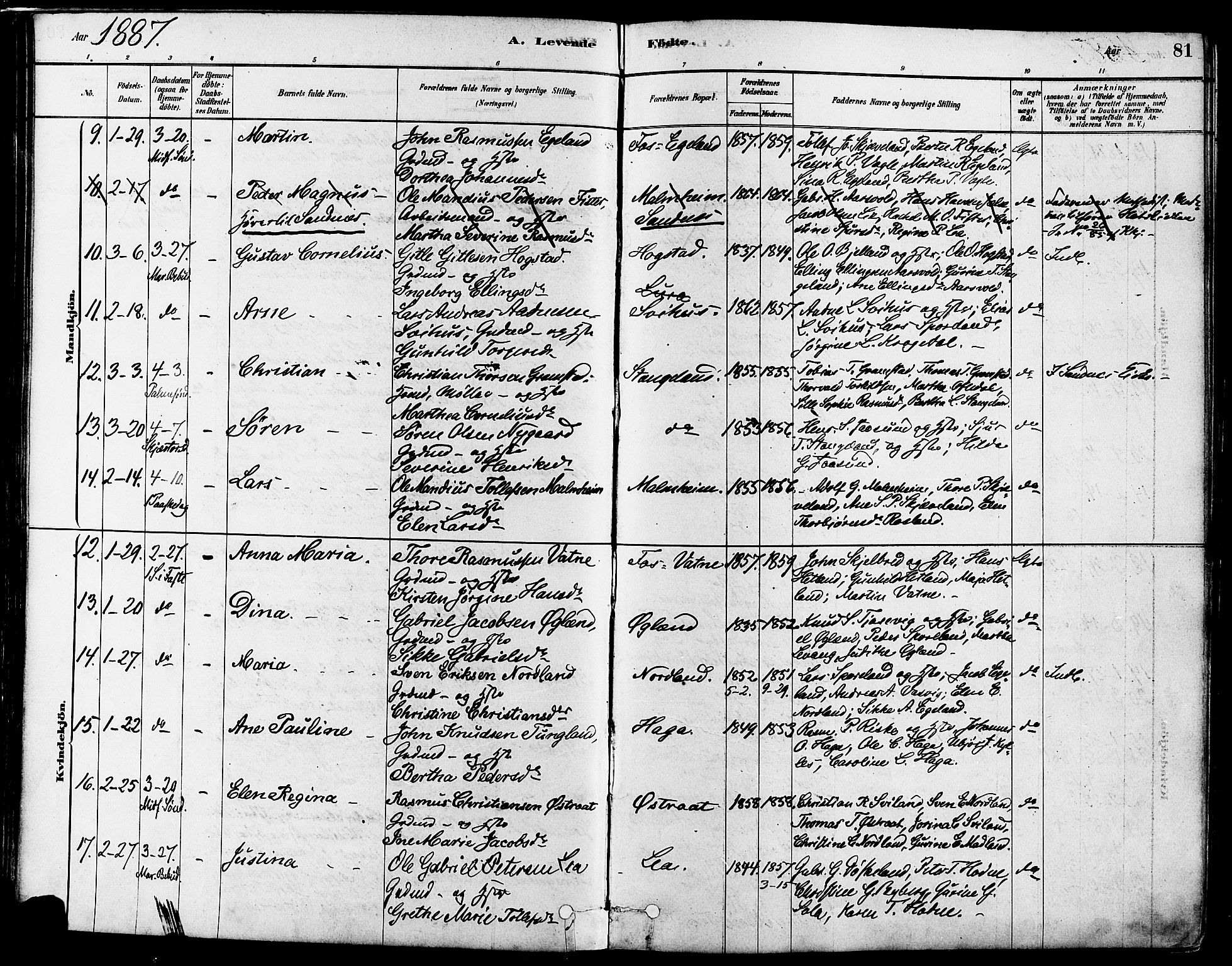 Høyland sokneprestkontor, AV/SAST-A-101799/001/30BA/L0011: Parish register (official) no. A 10, 1878-1888, p. 81