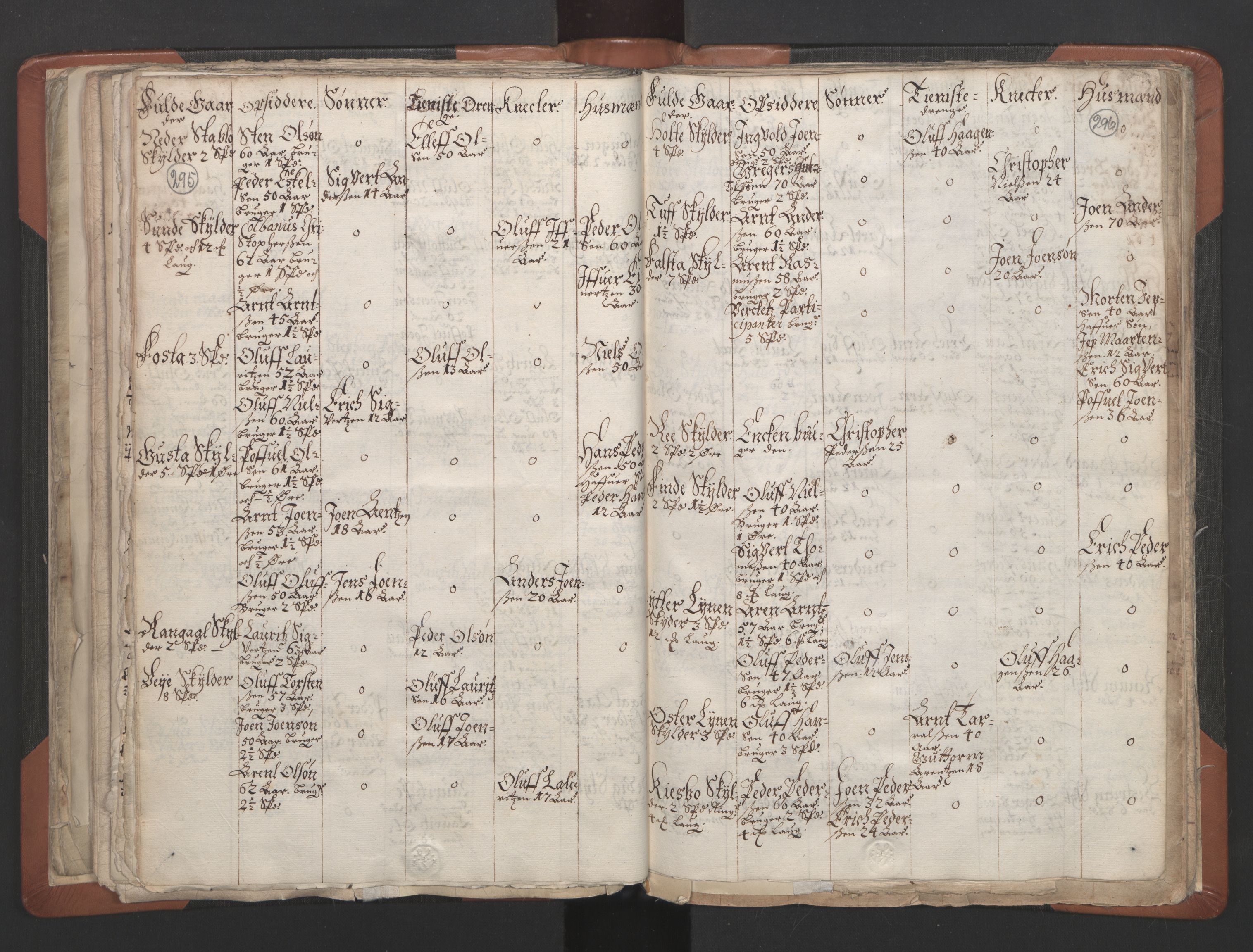 RA, Vicar's Census 1664-1666, no. 32: Innherad deanery, 1664-1666, p. 295-296
