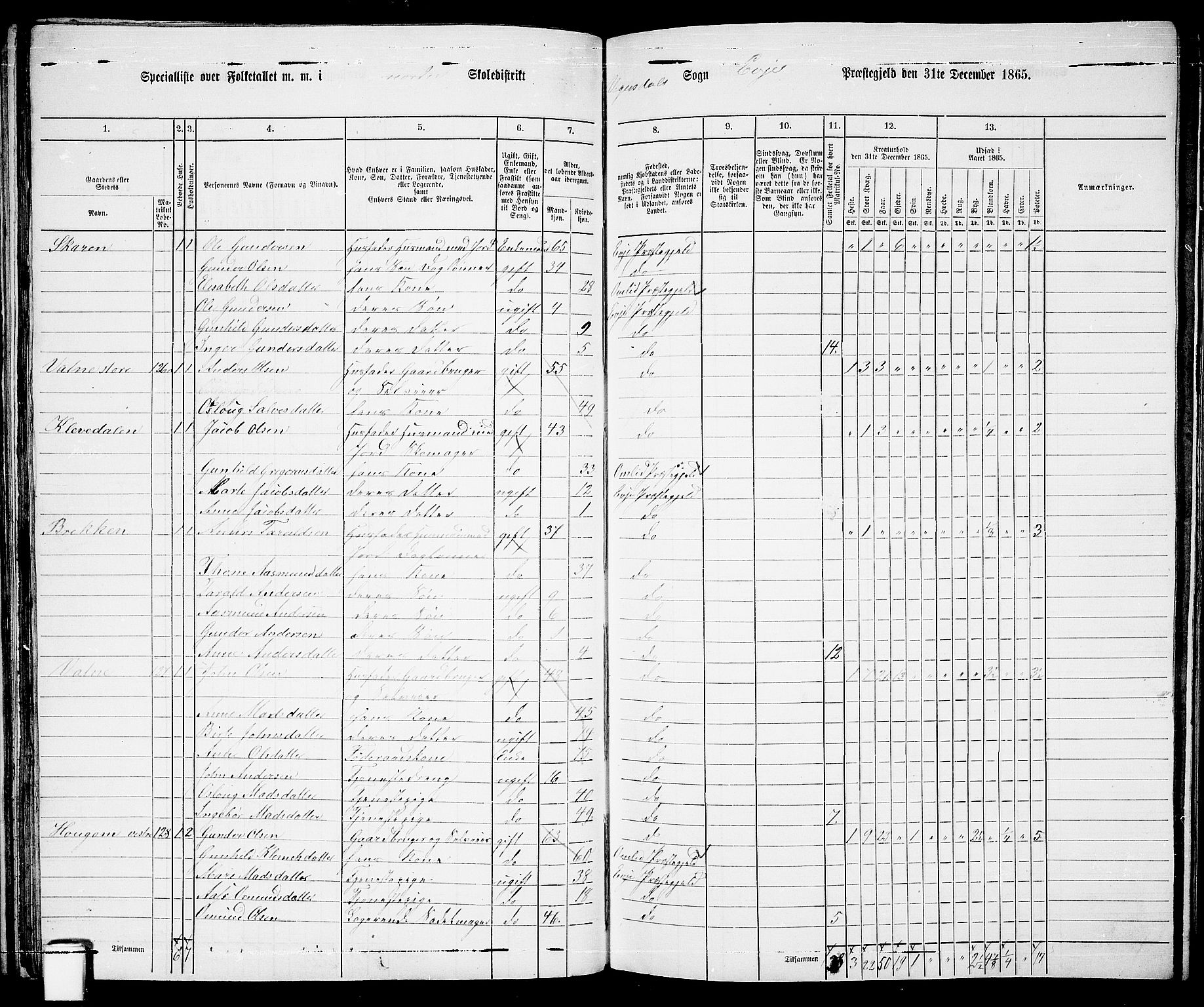 RA, 1865 census for Evje, 1865, p. 49