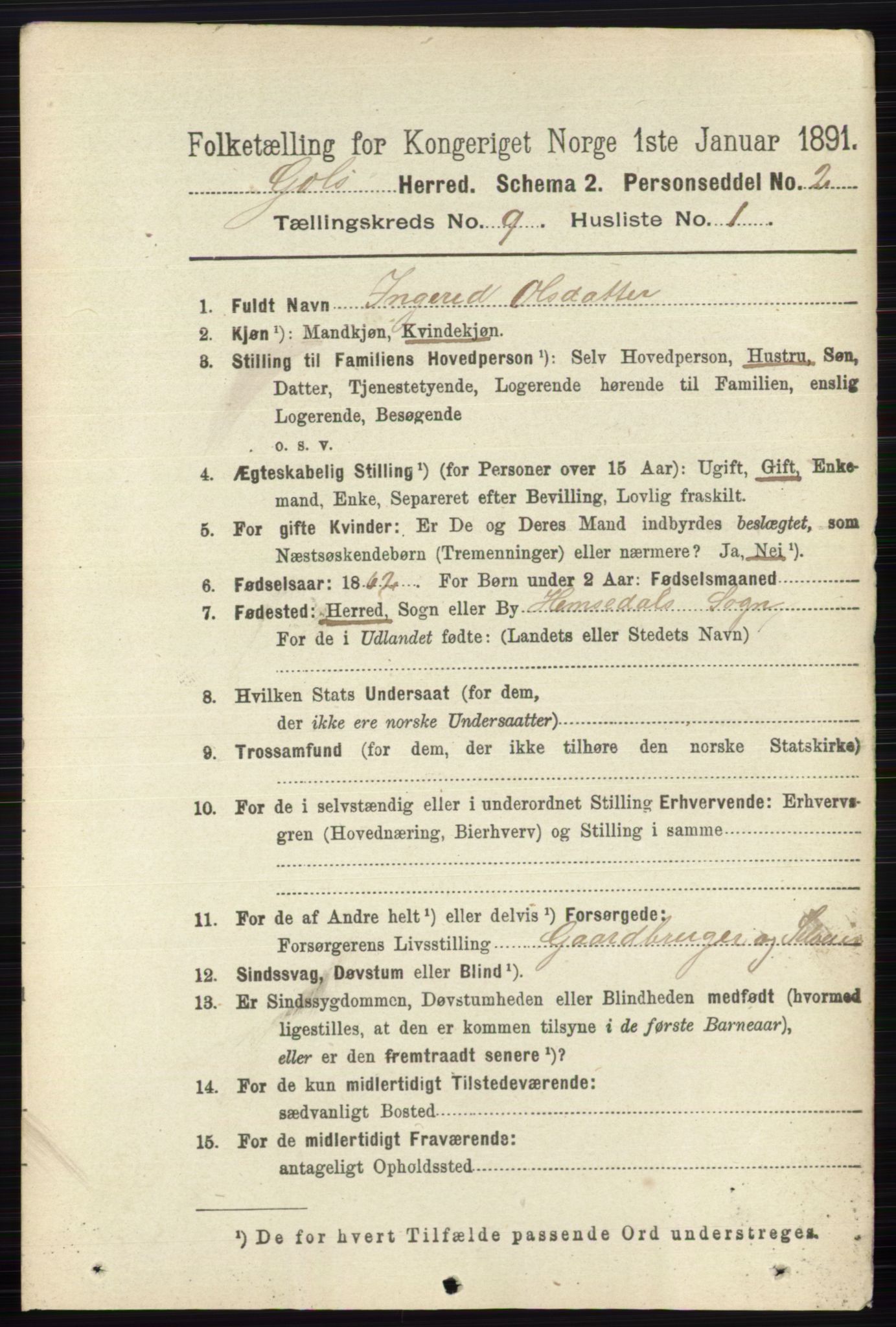 RA, 1891 census for 0617 Gol og Hemsedal, 1891, p. 3399