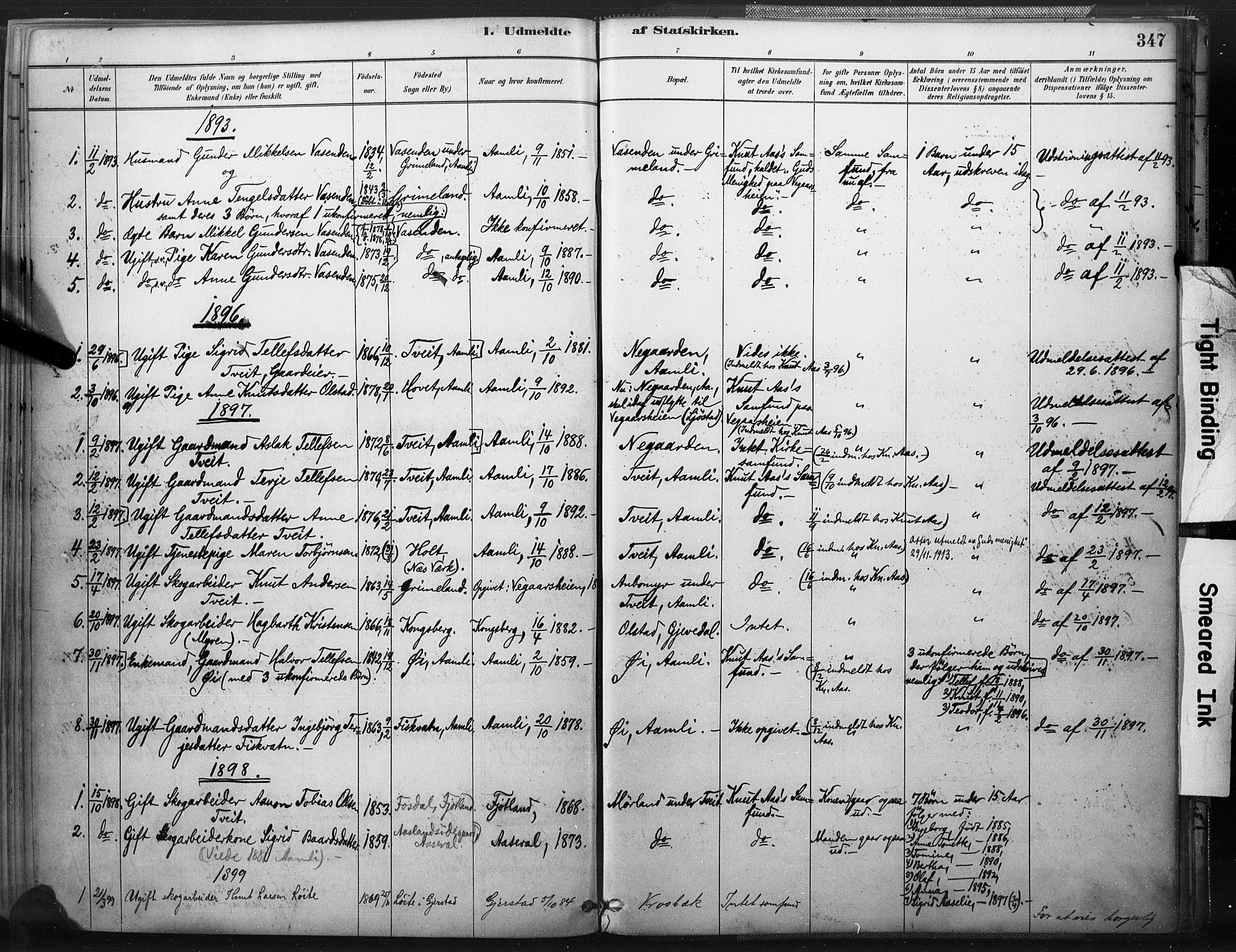 Åmli sokneprestkontor, SAK/1111-0050/F/Fa/Fac/L0010: Parish register (official) no. A 10 /1, 1885-1899, p. 347