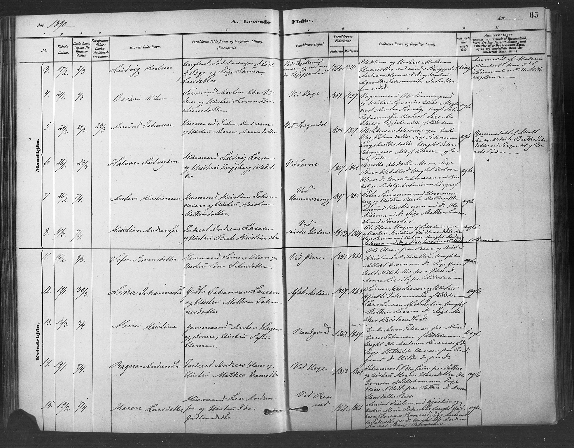 Fåberg prestekontor, AV/SAH-PREST-086/H/Ha/Haa/L0009: Parish register (official) no. 9, 1879-1898, p. 65