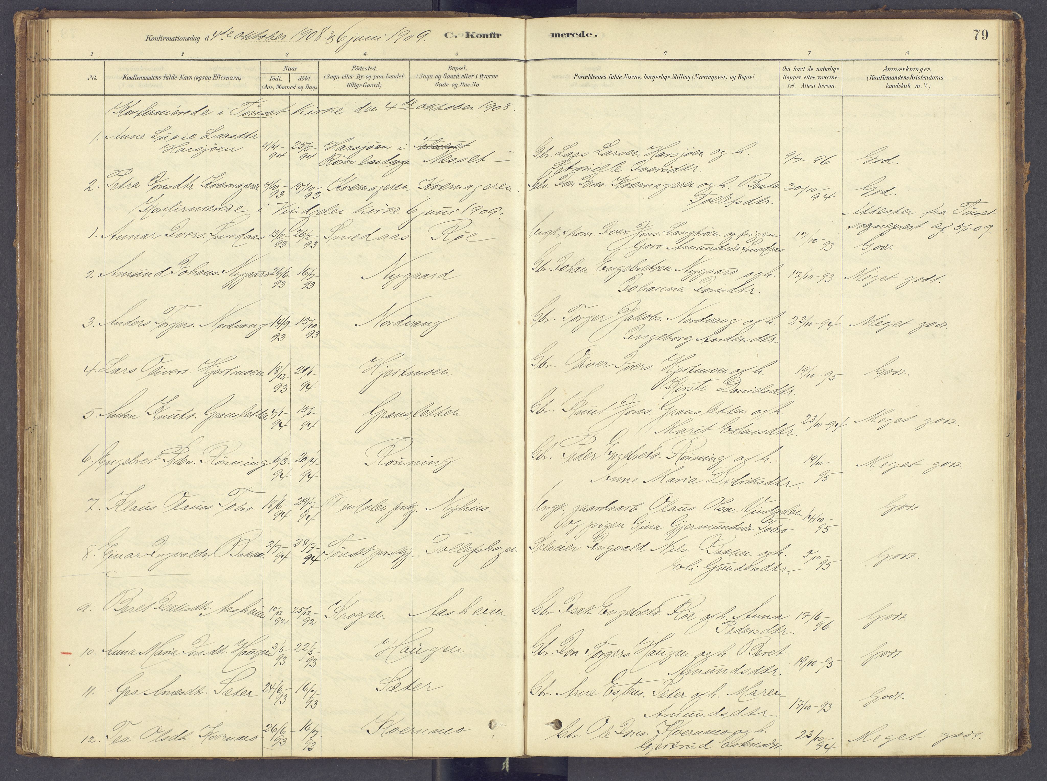 Tolga prestekontor, SAH/PREST-062/K/L0012: Parish register (official) no. 12, 1877-1925, p. 79