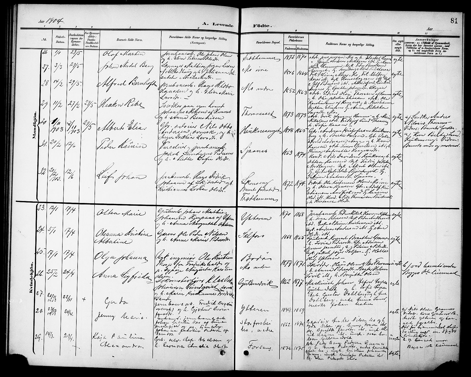 Ministerialprotokoller, klokkerbøker og fødselsregistre - Nordland, AV/SAT-A-1459/827/L0422: Parish register (copy) no. 827C11, 1899-1912, p. 81