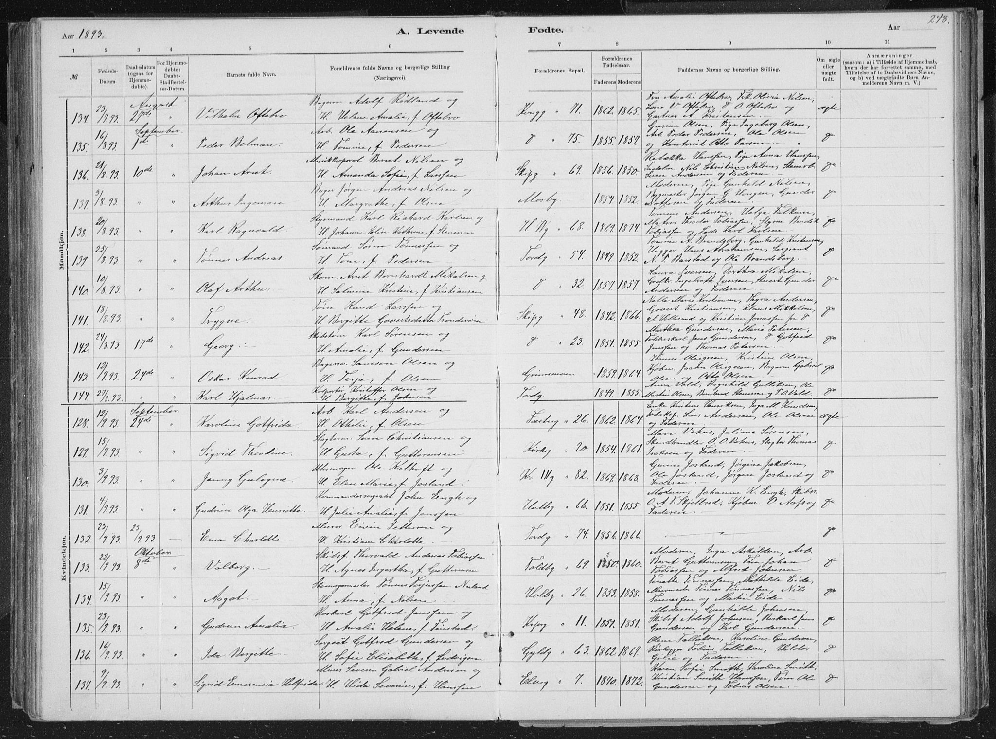 Kristiansand domprosti, SAK/1112-0006/F/Fb/L0014: Parish register (copy) no. B 14, 1881-1896, p. 248