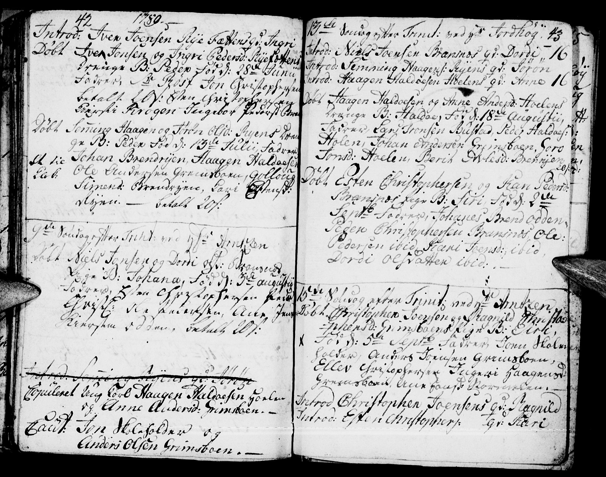 Tynset prestekontor, SAH/PREST-058/H/Ha/Haa/L0011: Parish register (official) no. 11, 1779-1790, p. 42-43