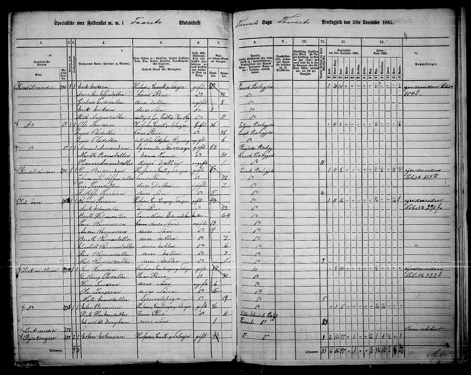 RA, 1865 census for Tynset, 1865, p. 116