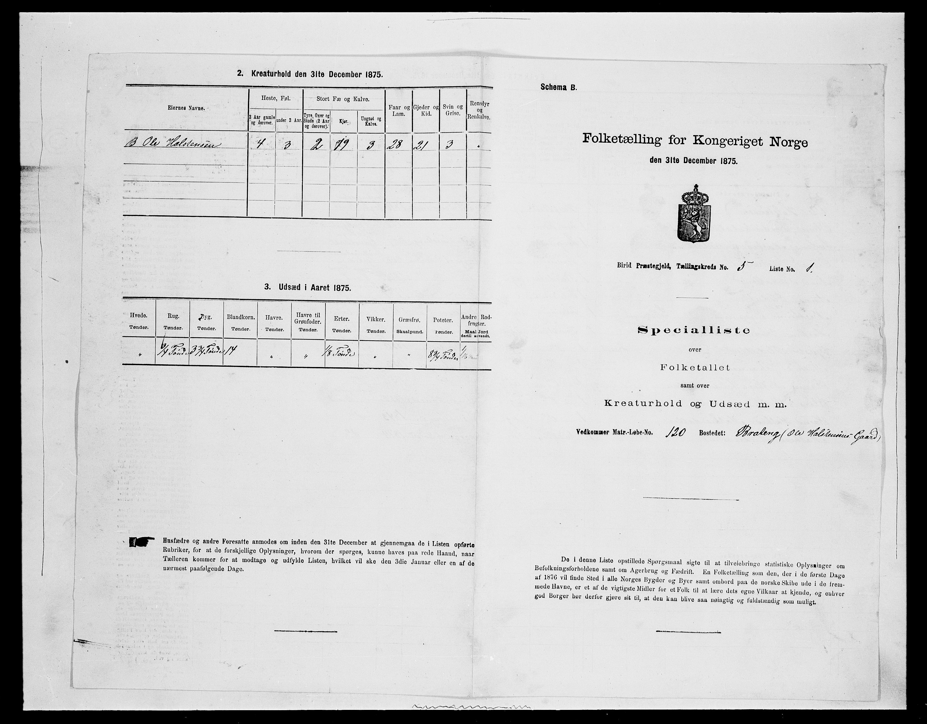 SAH, 1875 census for 0525P Biri, 1875, p. 943