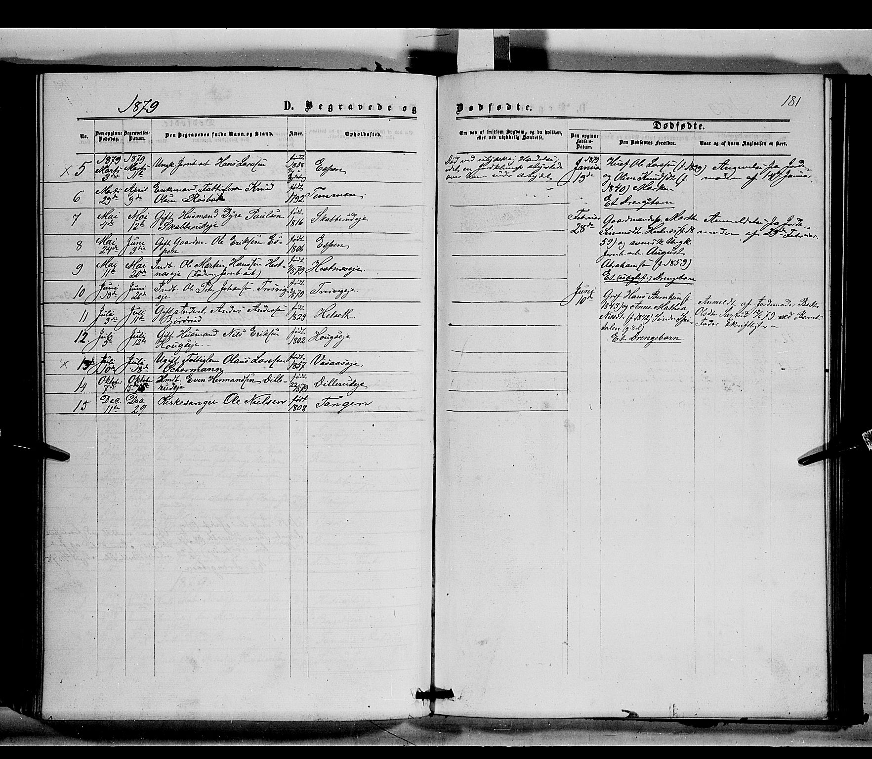Stange prestekontor, SAH/PREST-002/K/L0014: Parish register (official) no. 14, 1862-1879, p. 181