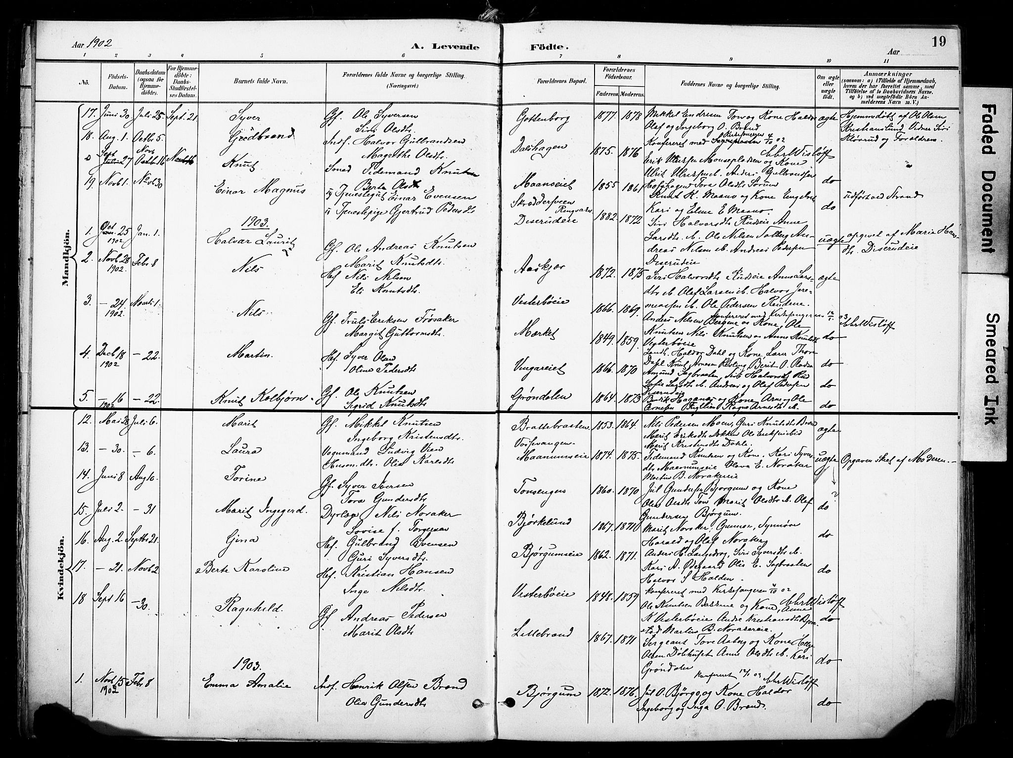Nord-Aurdal prestekontor, SAH/PREST-132/H/Ha/Haa/L0014: Parish register (official) no. 14, 1896-1912, p. 19