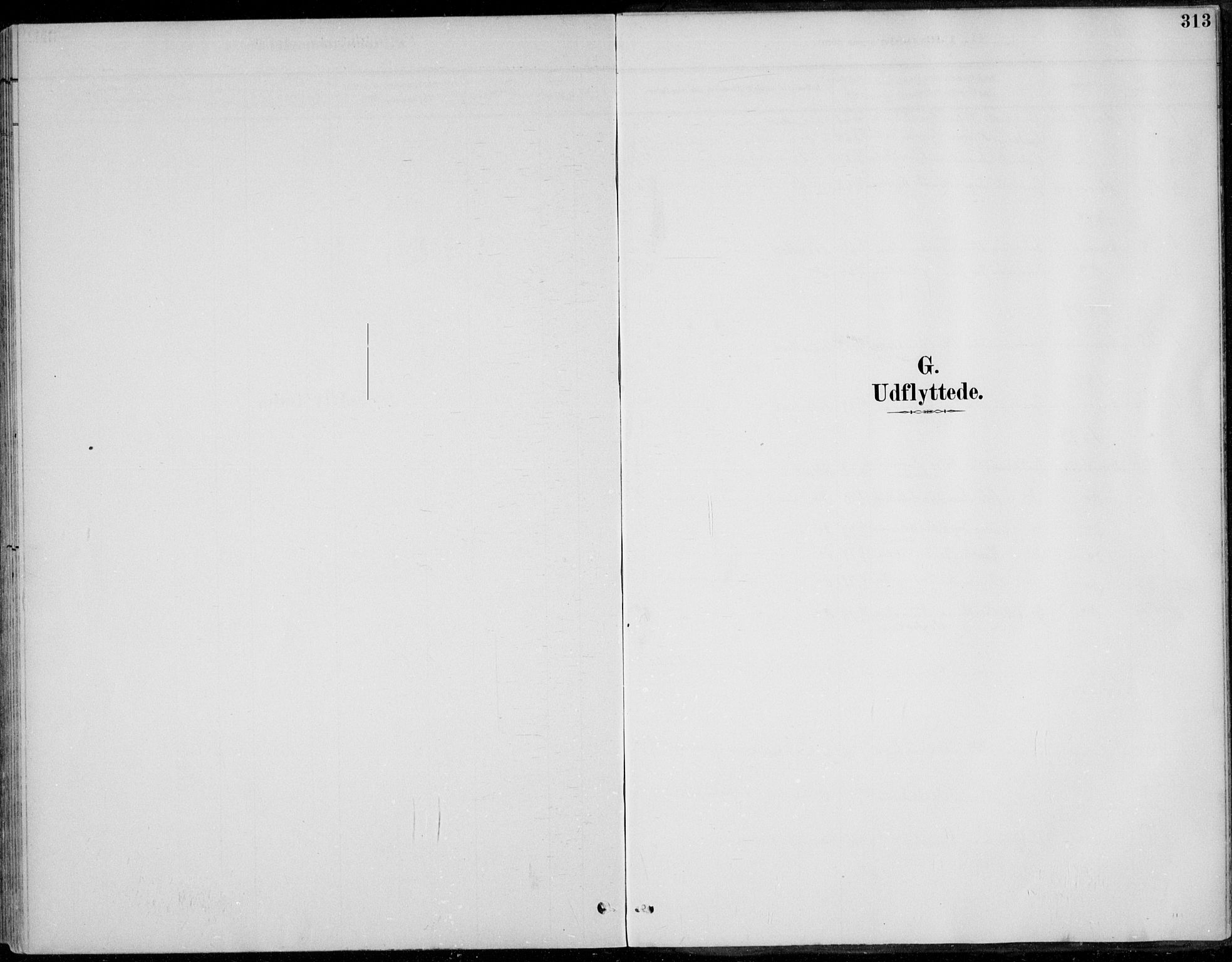 Alvdal prestekontor, SAH/PREST-060/H/Ha/Haa/L0003: Parish register (official) no. 3, 1886-1912, p. 313