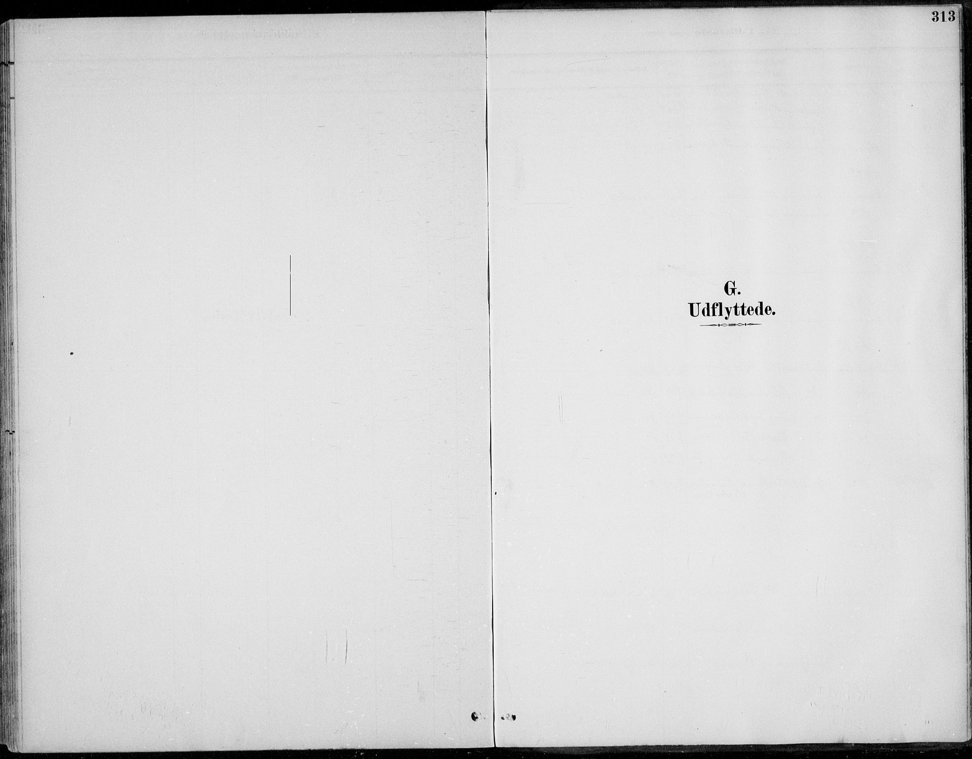 Alvdal prestekontor, AV/SAH-PREST-060/H/Ha/Haa/L0003: Parish register (official) no. 3, 1886-1912, p. 313