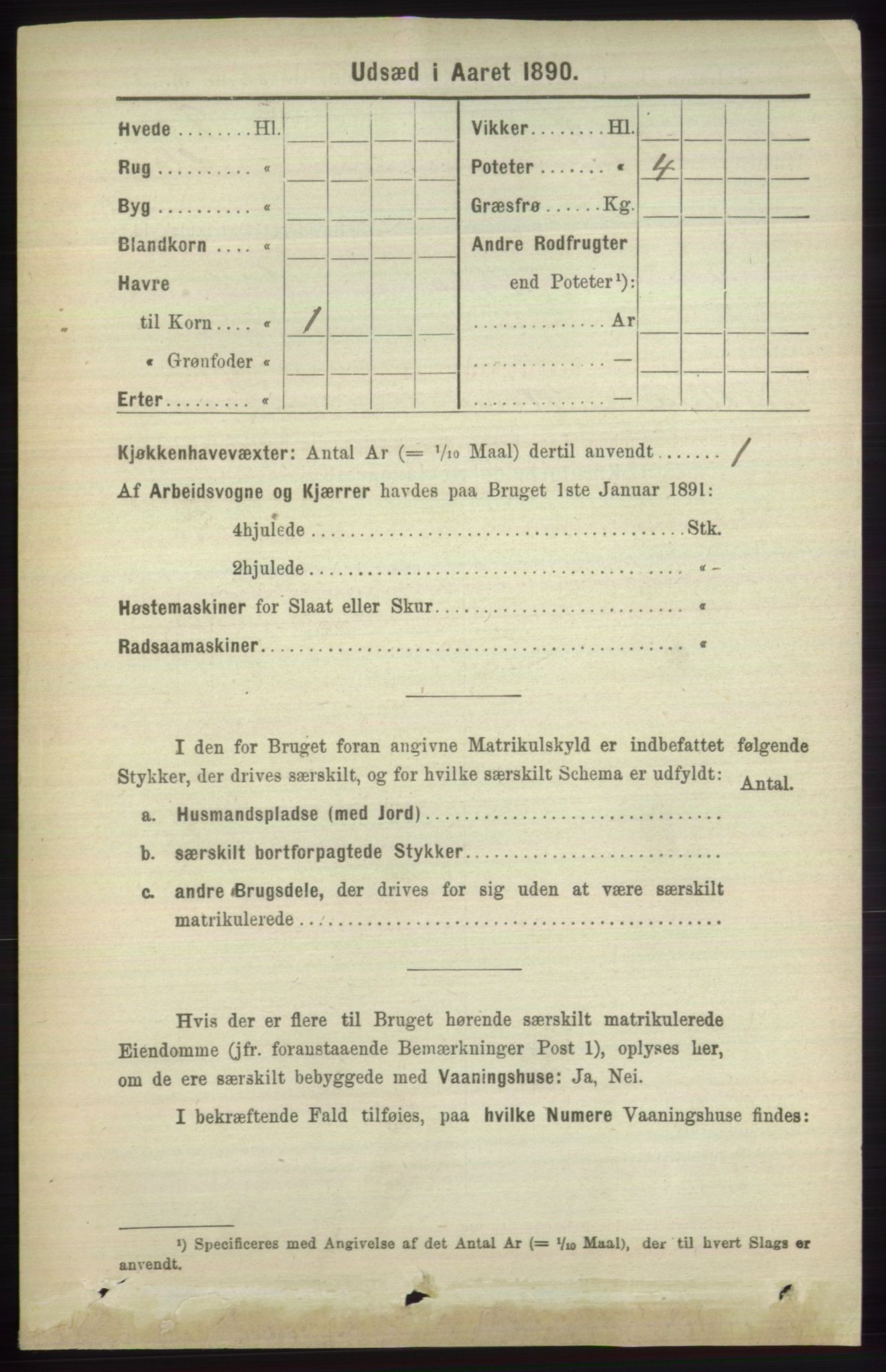 RA, 1891 census for 1251 Bruvik, 1891, p. 4894