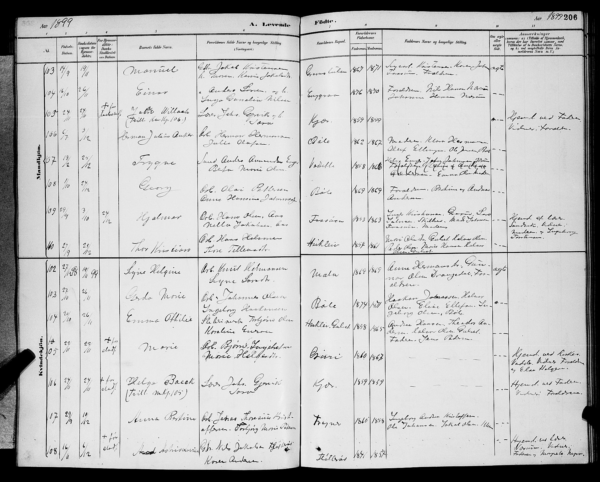 Gjerpen kirkebøker, AV/SAKO-A-265/G/Ga/L0002: Parish register (copy) no. I 2, 1883-1900, p. 206