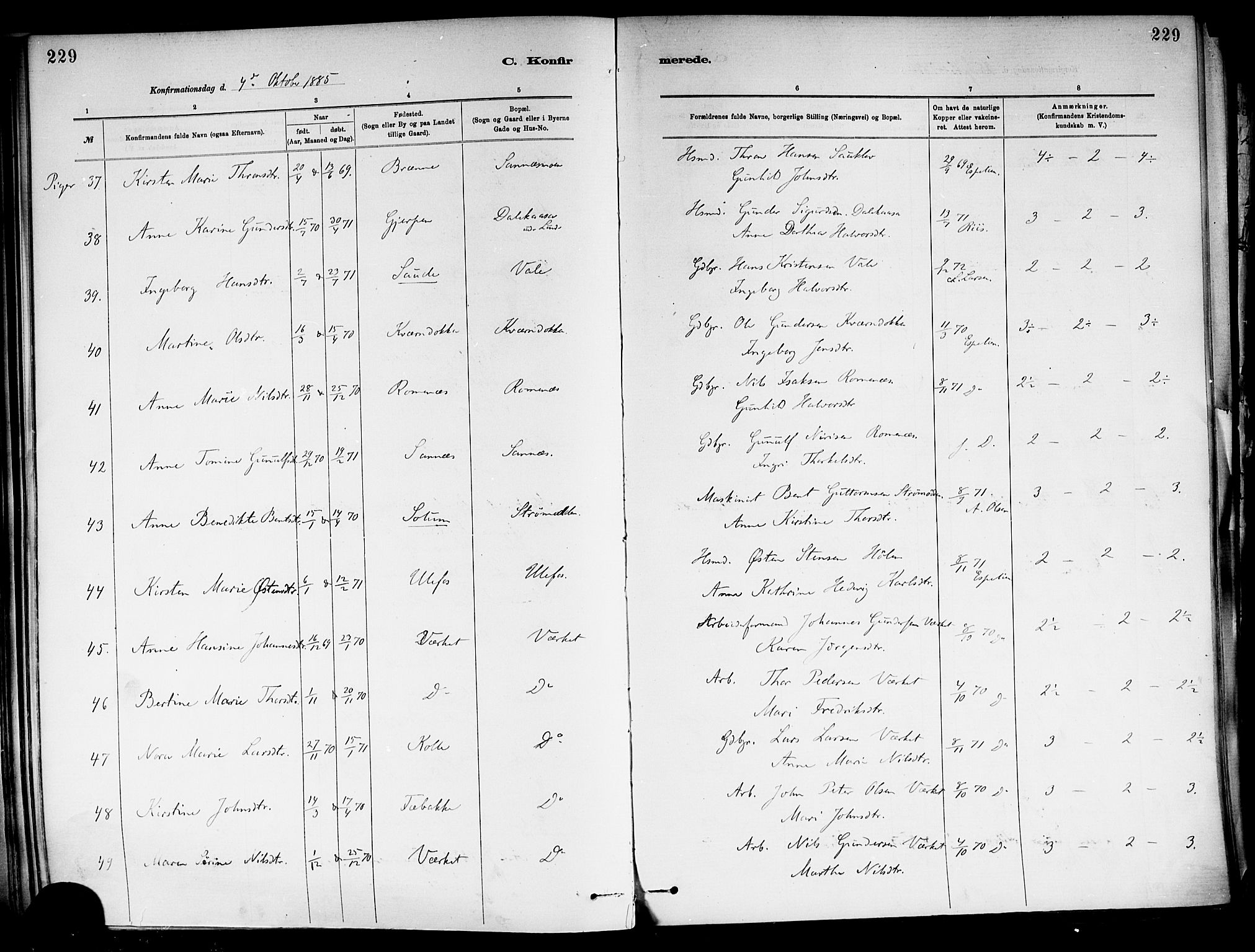 Holla kirkebøker, SAKO/A-272/F/Fa/L0008: Parish register (official) no. 8, 1882-1897, p. 229