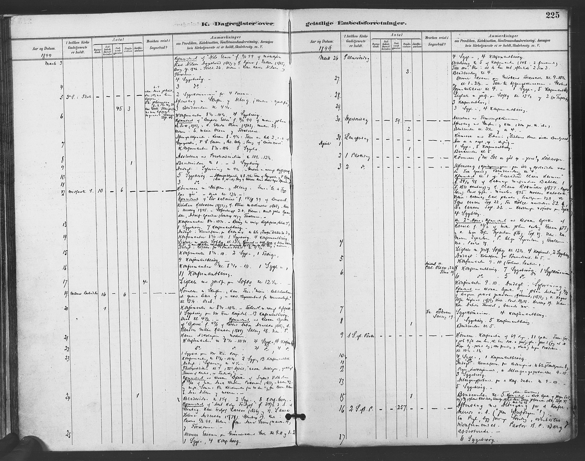Paulus prestekontor Kirkebøker, AV/SAO-A-10871/F/Fa/L0009: Parish register (official) no. 9, 1891-1901, p. 225