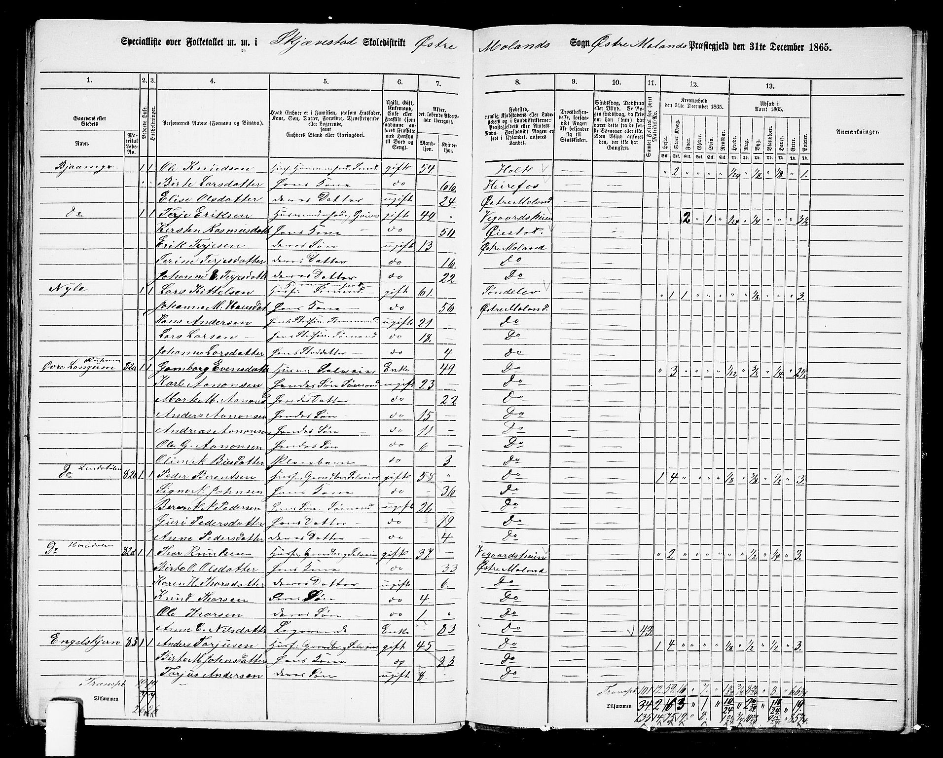 RA, 1865 census for Austre Moland, 1865, p. 312