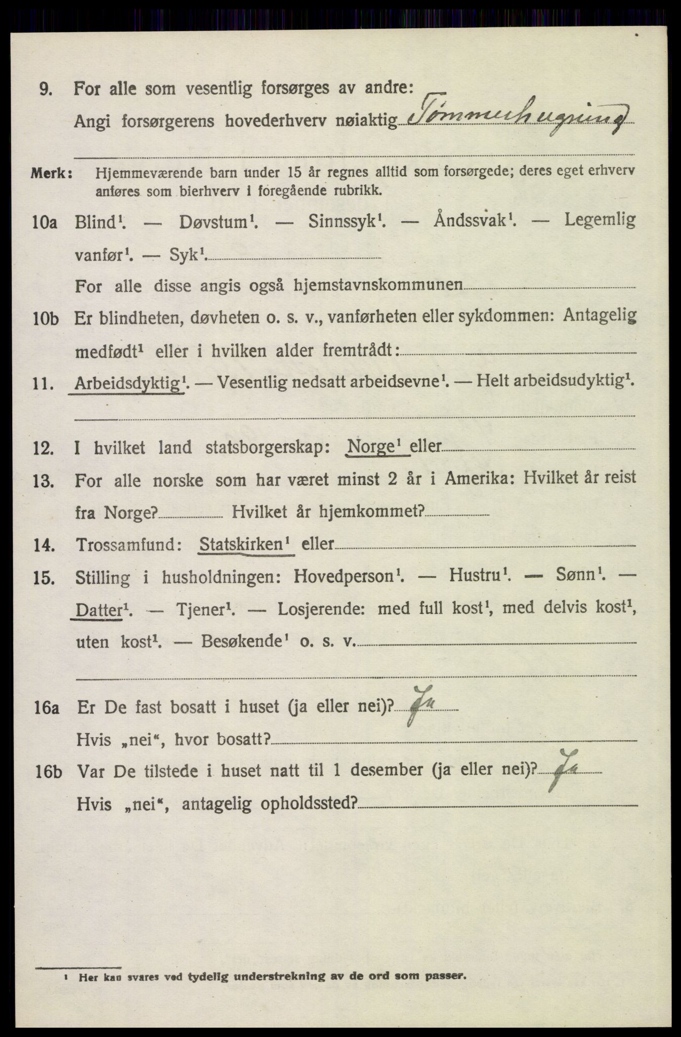 SAH, 1920 census for Trysil, 1920, p. 3530