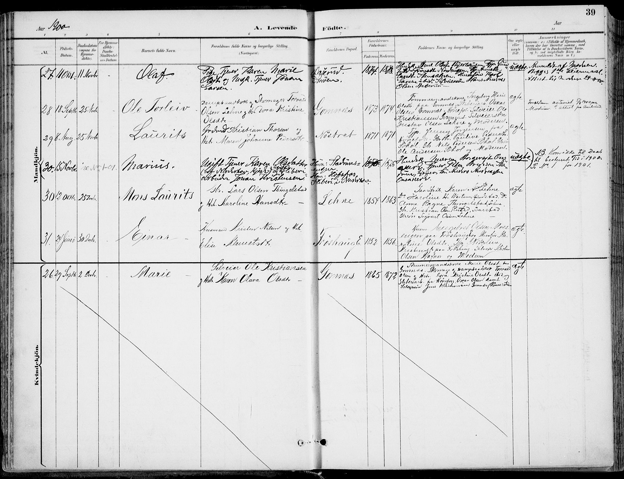 Hole kirkebøker, AV/SAKO-A-228/F/Fa/L0009: Parish register (official) no. I 9, 1892-1907, p. 39