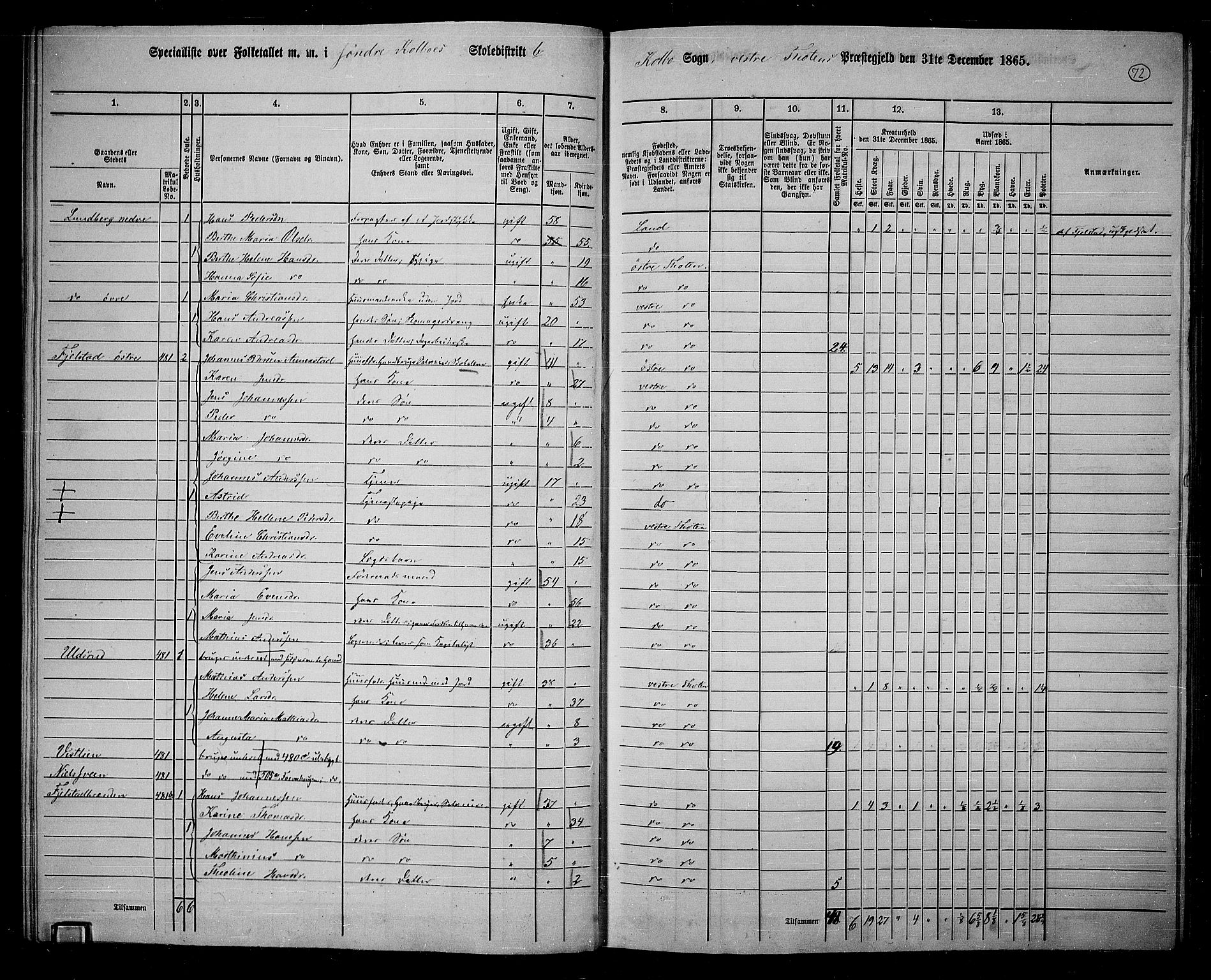 RA, 1865 census for Vestre Toten, 1865, p. 226