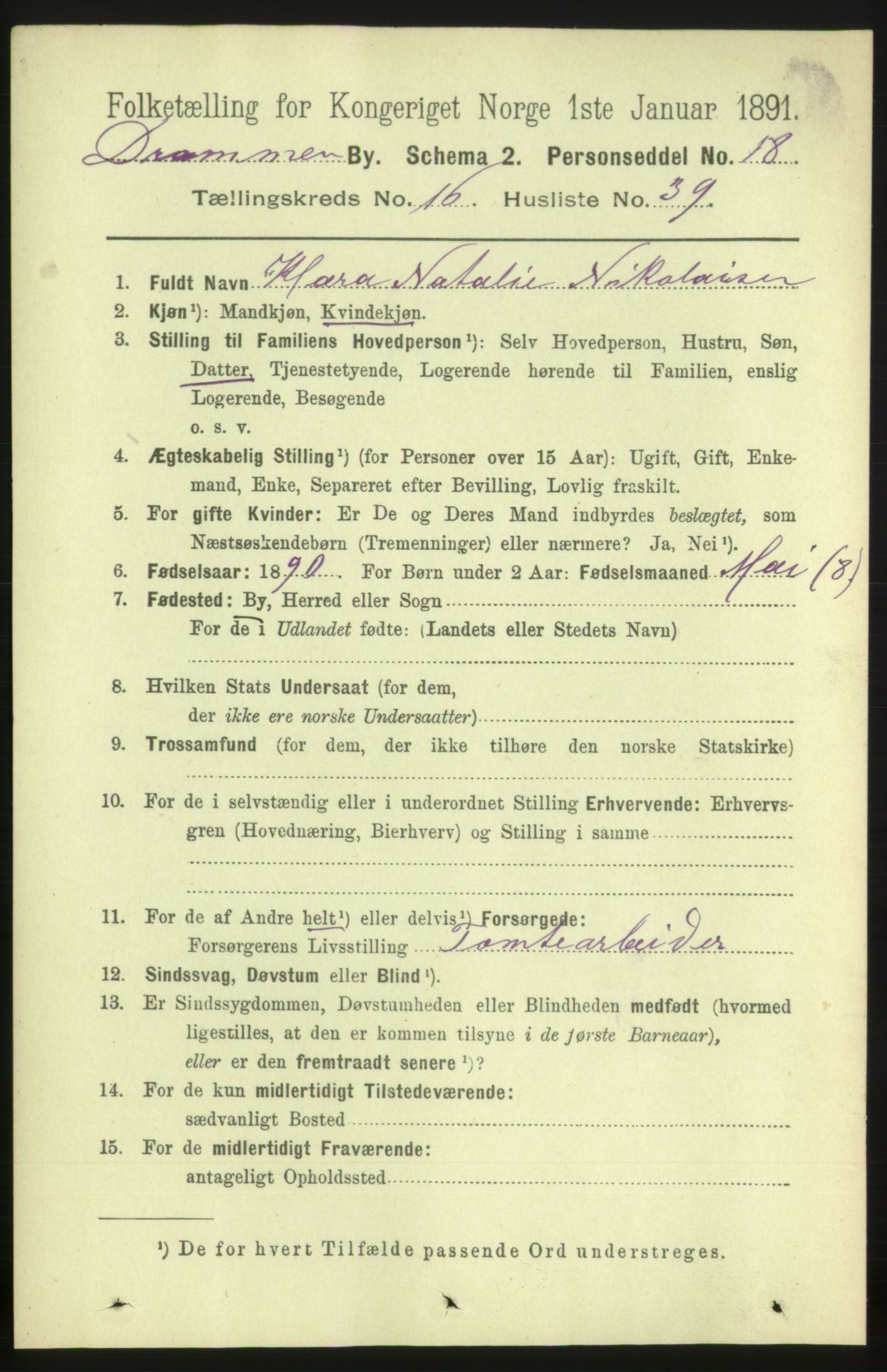 RA, 1891 census for 0602 Drammen, 1891, p. 11268