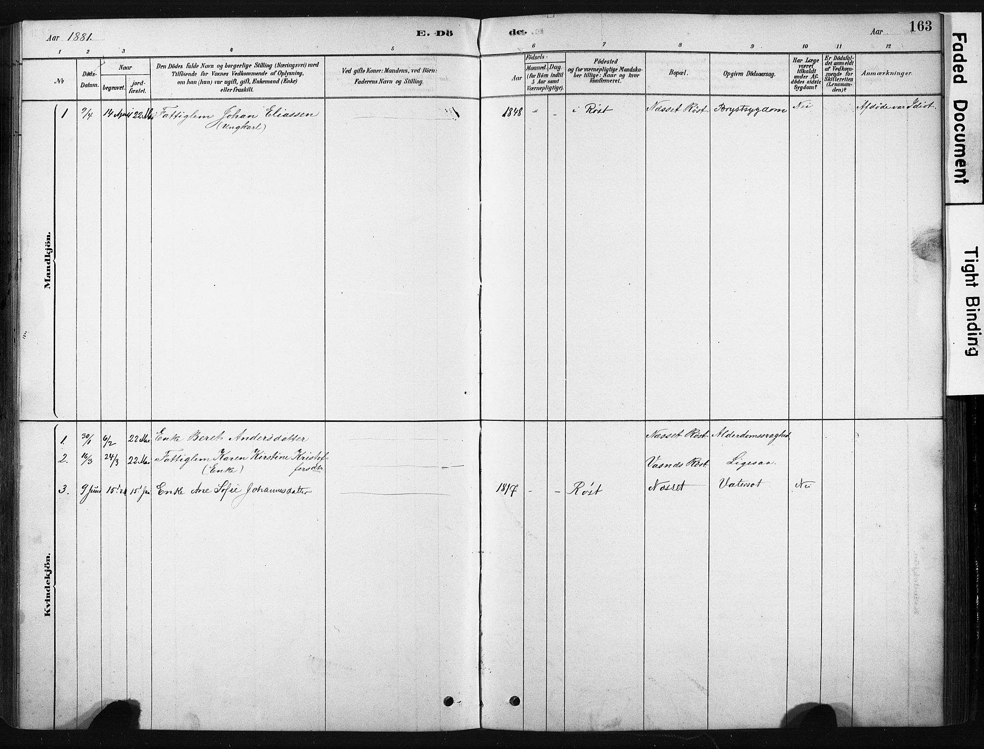 Ministerialprotokoller, klokkerbøker og fødselsregistre - Nordland, AV/SAT-A-1459/808/L0128: Parish register (official) no. 808A01, 1880-1902, p. 163