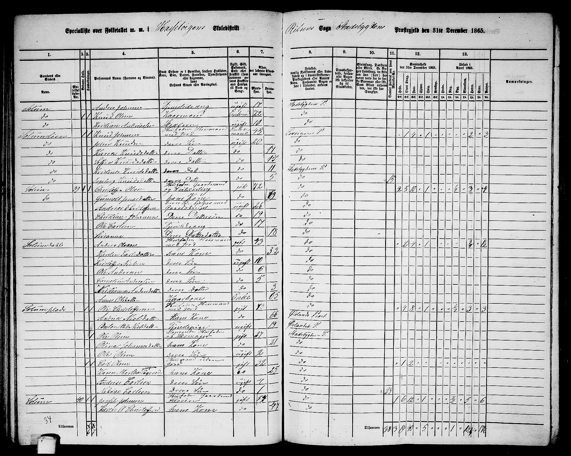 RA, 1865 census for Stadsbygd, 1865, p. 99