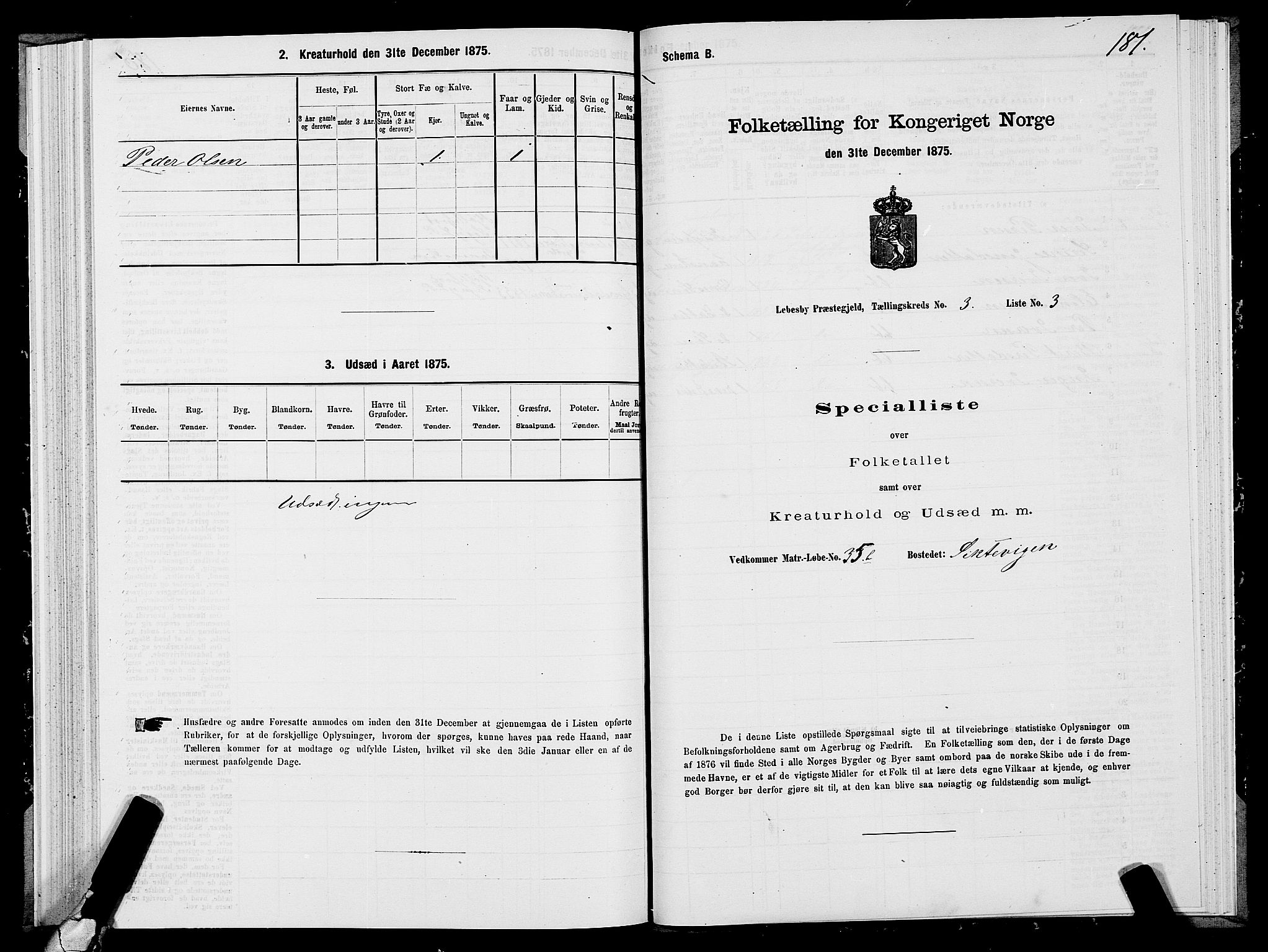 SATØ, 1875 census for 2022P Lebesby, 1875, p. 1181