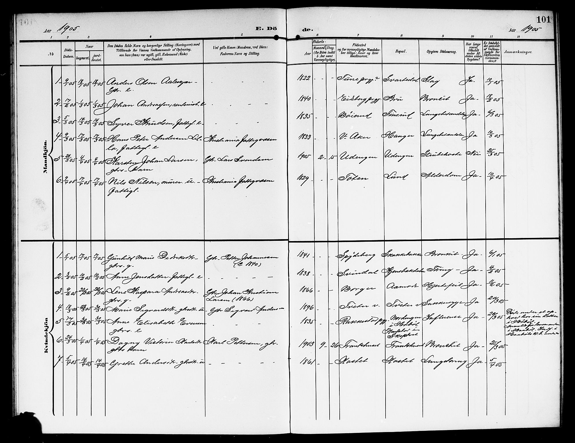 Skiptvet prestekontor Kirkebøker, SAO/A-20009/G/Ga/L0002: Parish register (copy) no. 2, 1905-1915, p. 101
