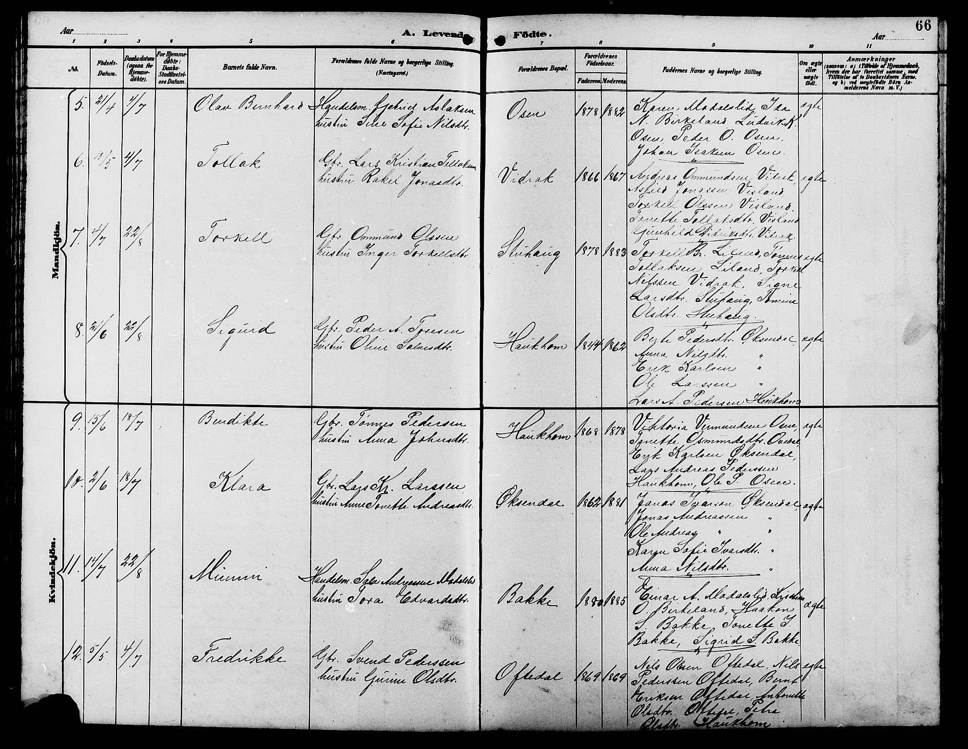 Bakke sokneprestkontor, AV/SAK-1111-0002/F/Fb/Fba/L0003: Parish register (copy) no. B 3, 1894-1910, p. 66