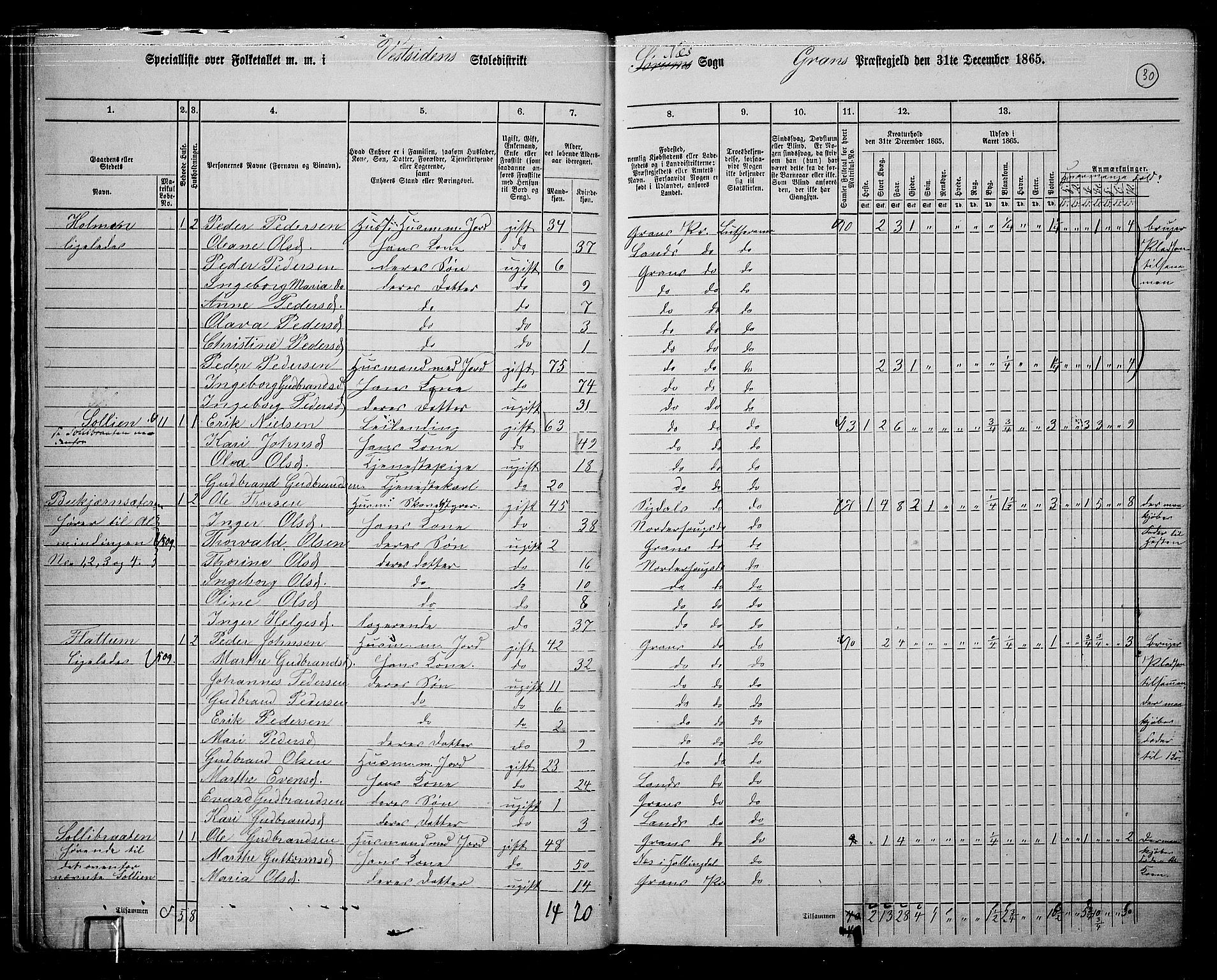RA, 1865 census for Gran, 1865, p. 218