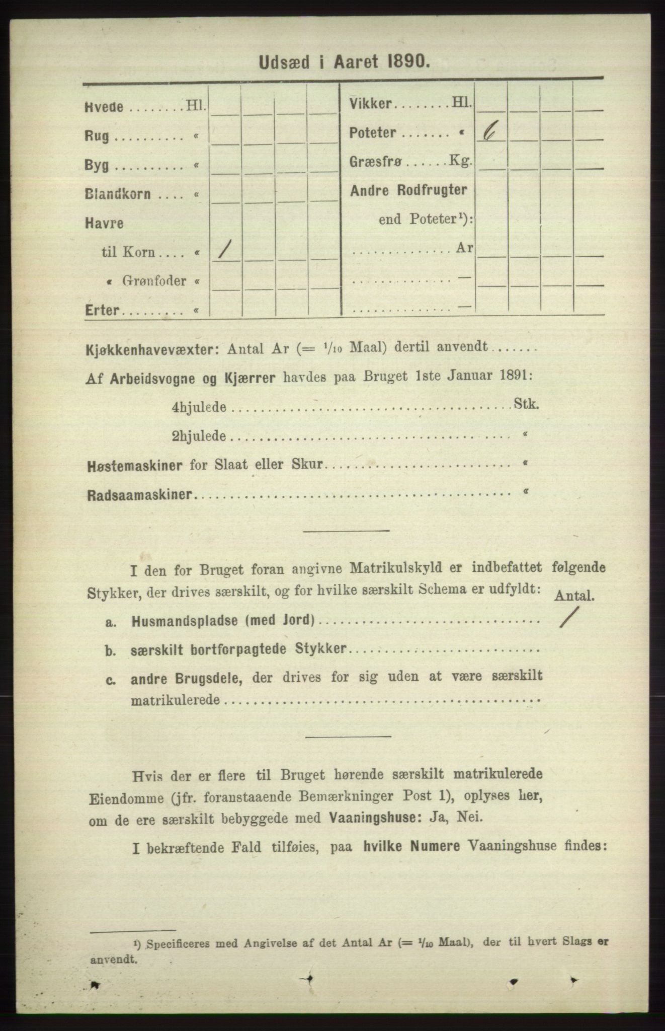 RA, 1891 census for 1251 Bruvik, 1891, p. 4228