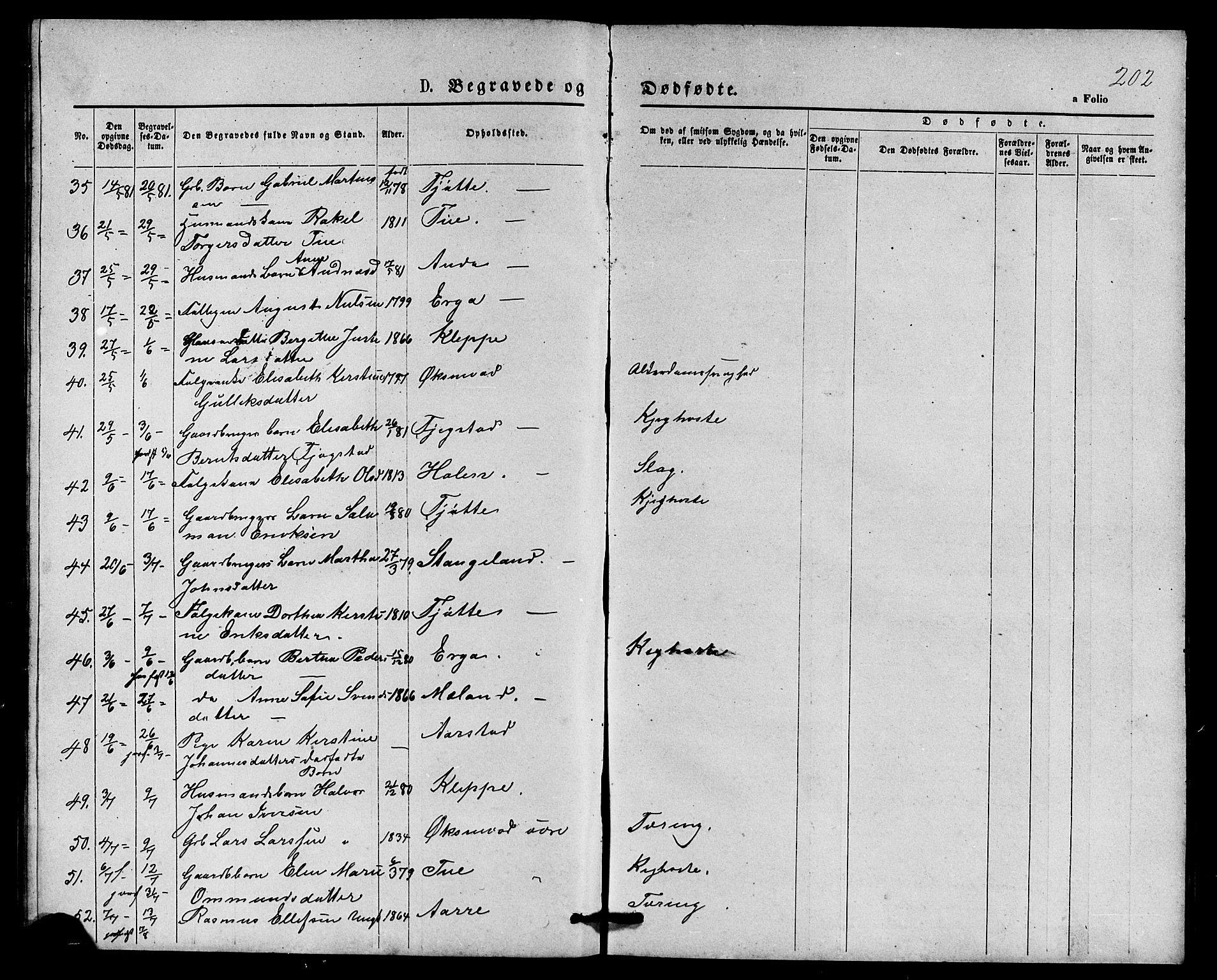 Klepp sokneprestkontor, AV/SAST-A-101803/001/3/30BB/L0003: Parish register (copy) no. B 3, 1876-1888, p. 202