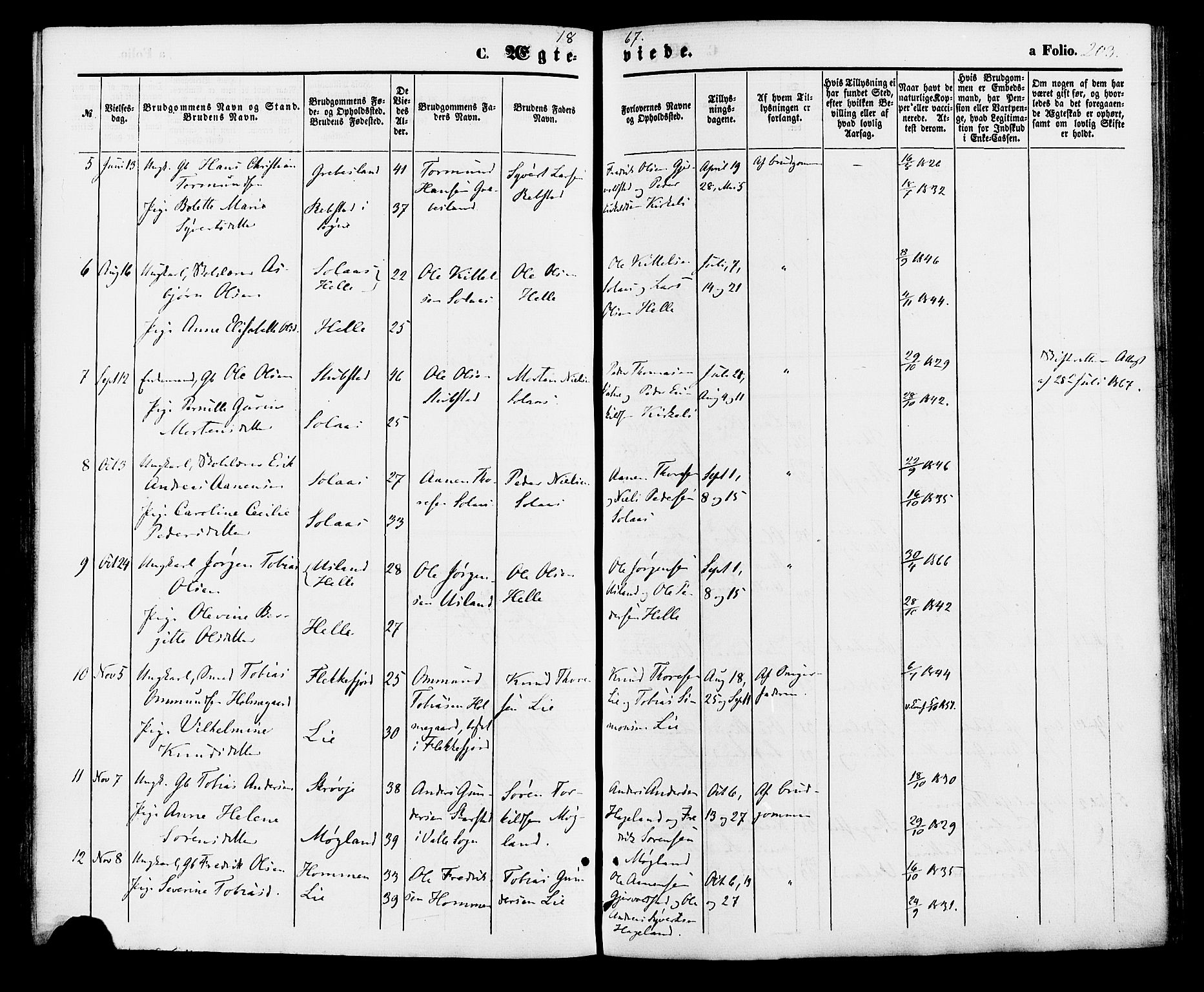 Holum sokneprestkontor, AV/SAK-1111-0022/F/Fa/Faa/L0006: Parish register (official) no. A 6, 1865-1883, p. 203