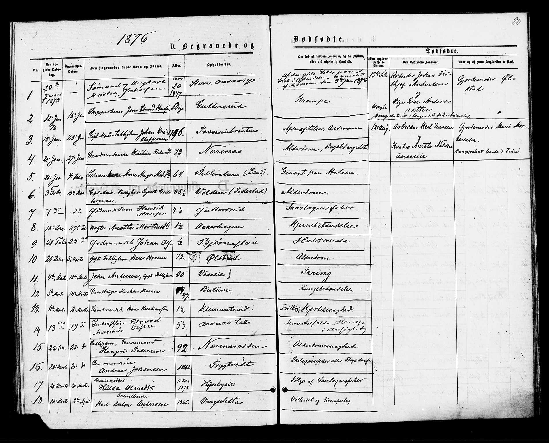 Røyken kirkebøker, AV/SAKO-A-241/F/Fa/L0007: Parish register (official) no. 7, 1876-1879, p. 80