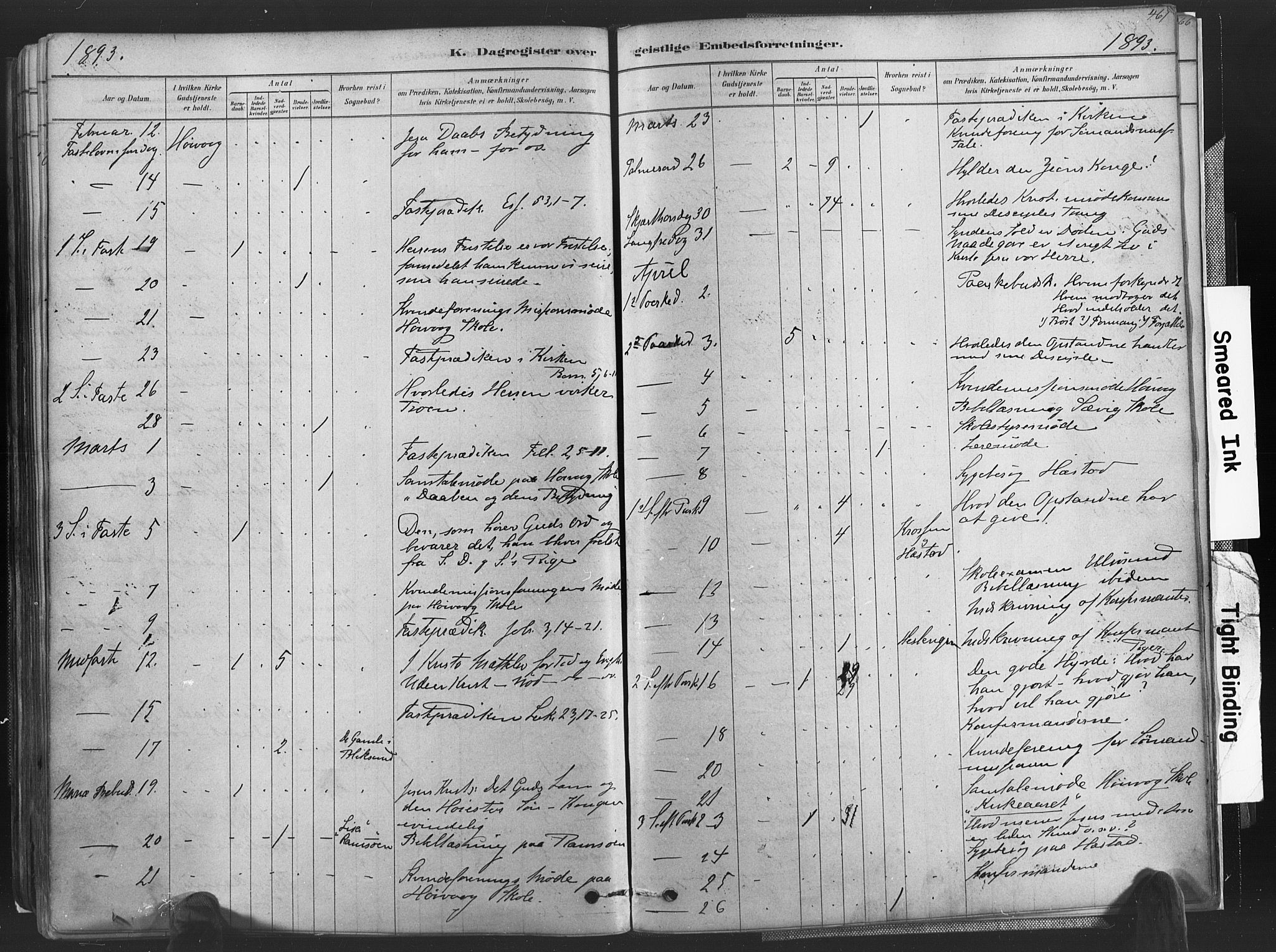 Høvåg sokneprestkontor, SAK/1111-0025/F/Fa/L0005: Parish register (official) no. A 5, 1878-1893, p. 461