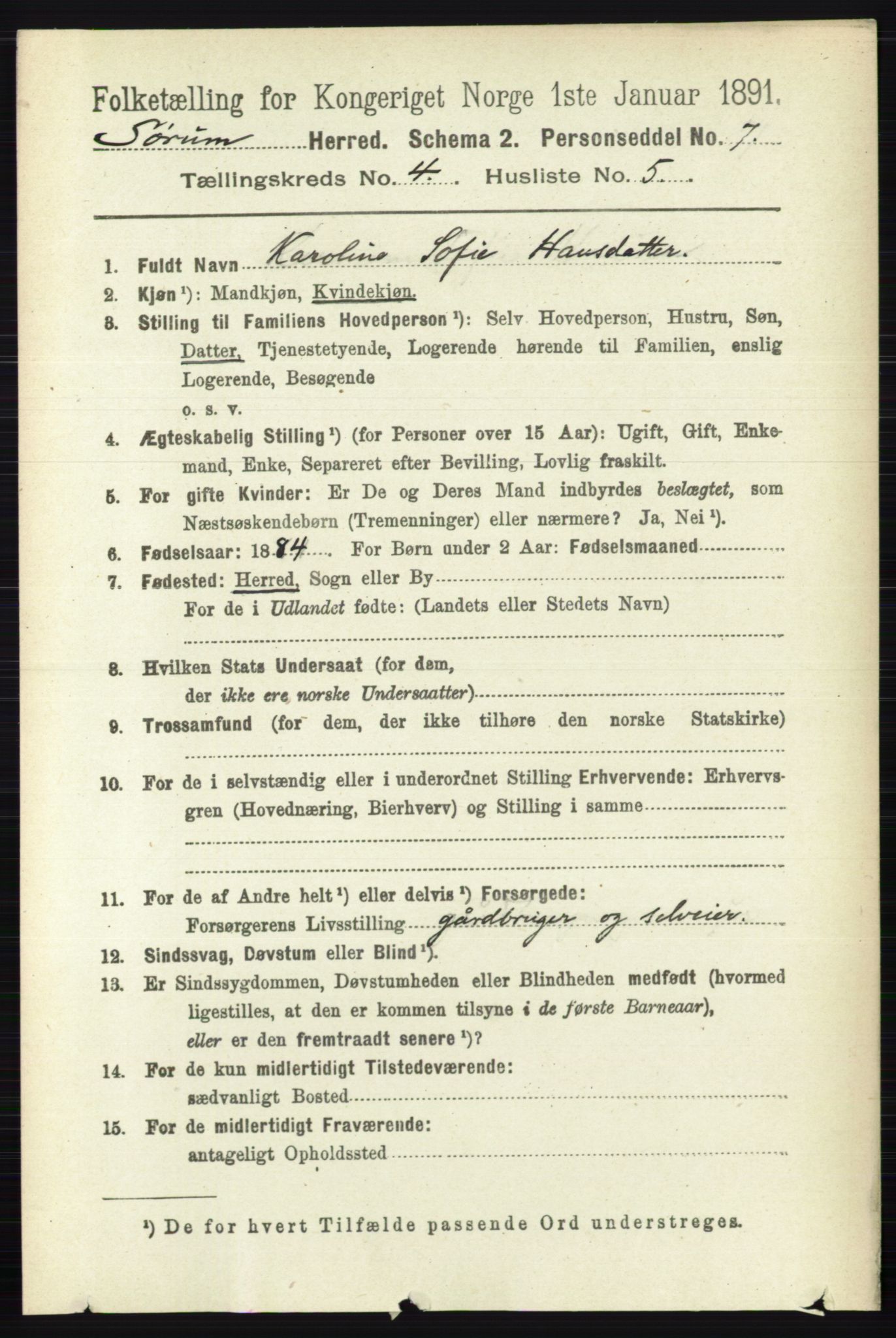 RA, 1891 census for 0226 Sørum, 1891, p. 1907