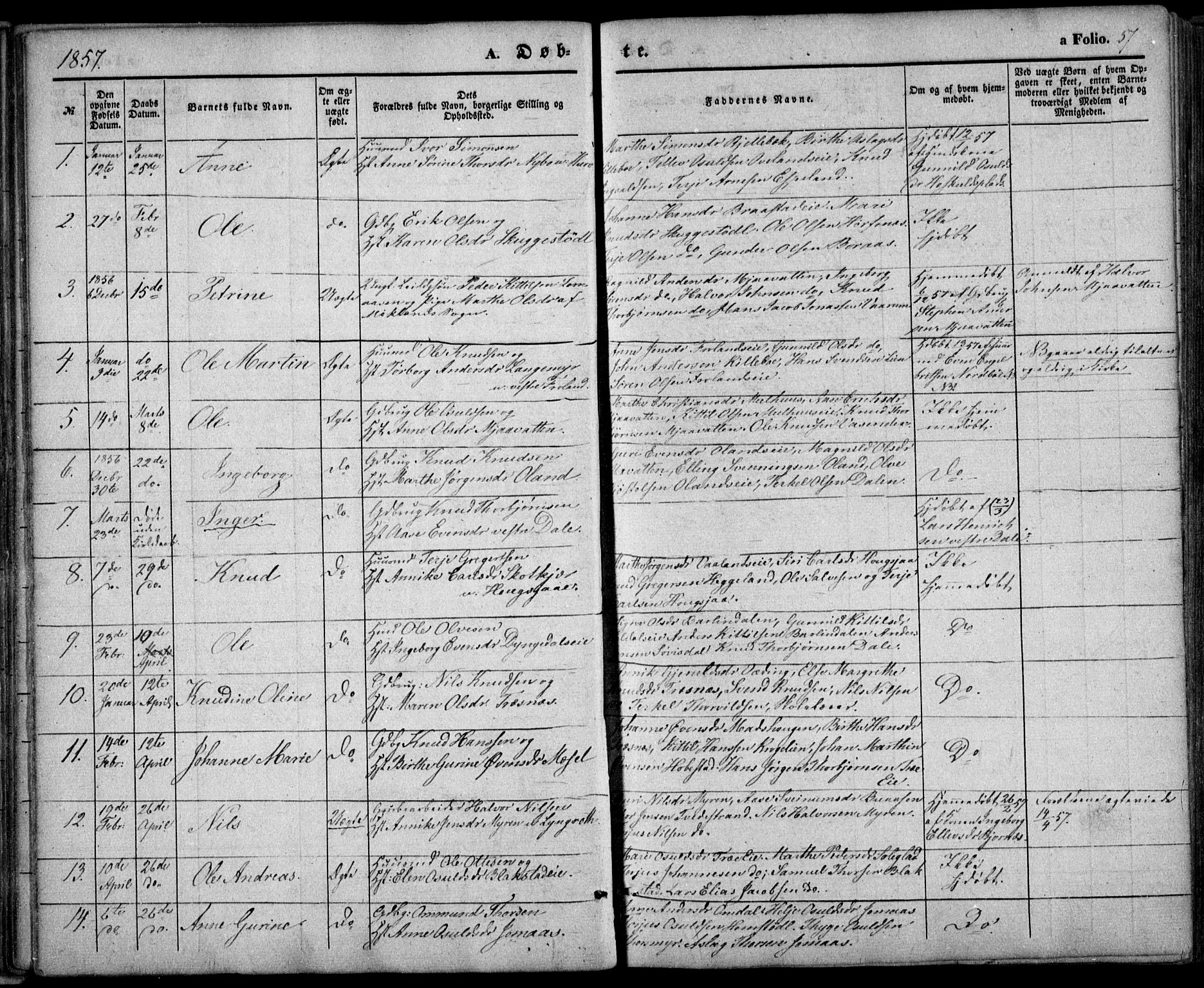 Froland sokneprestkontor, AV/SAK-1111-0013/F/Fa/L0002: Parish register (official) no. A 2, 1845-1863, p. 57