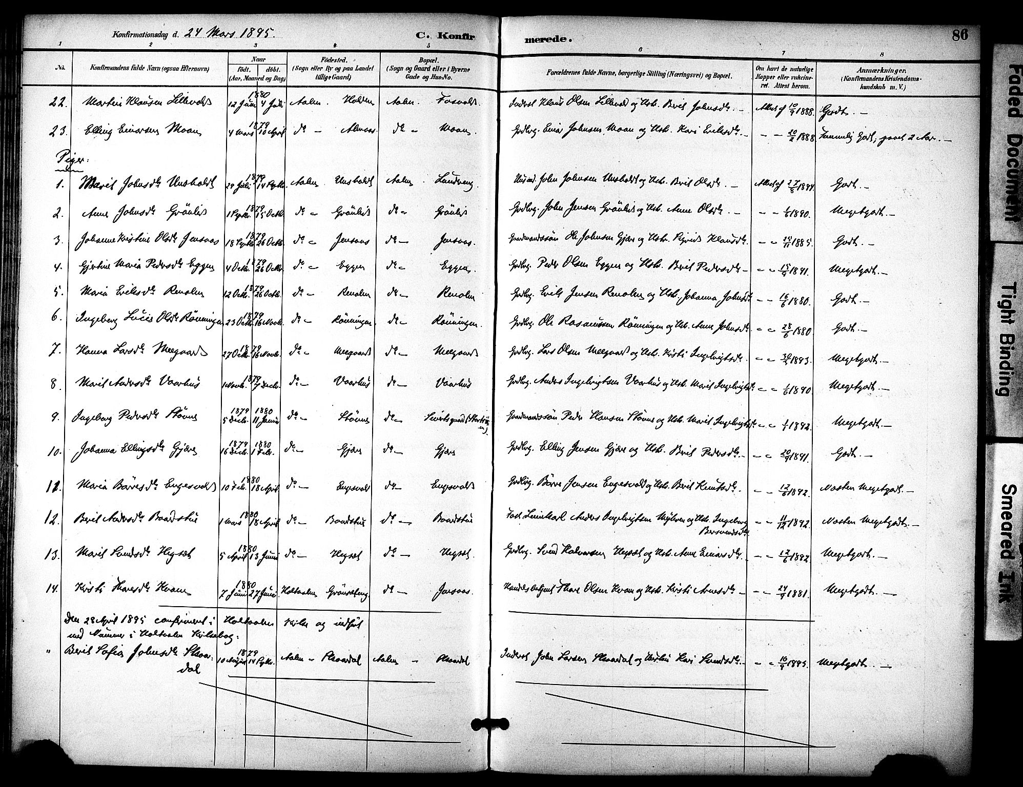 Ministerialprotokoller, klokkerbøker og fødselsregistre - Sør-Trøndelag, AV/SAT-A-1456/686/L0984: Parish register (official) no. 686A02, 1891-1906, p. 86