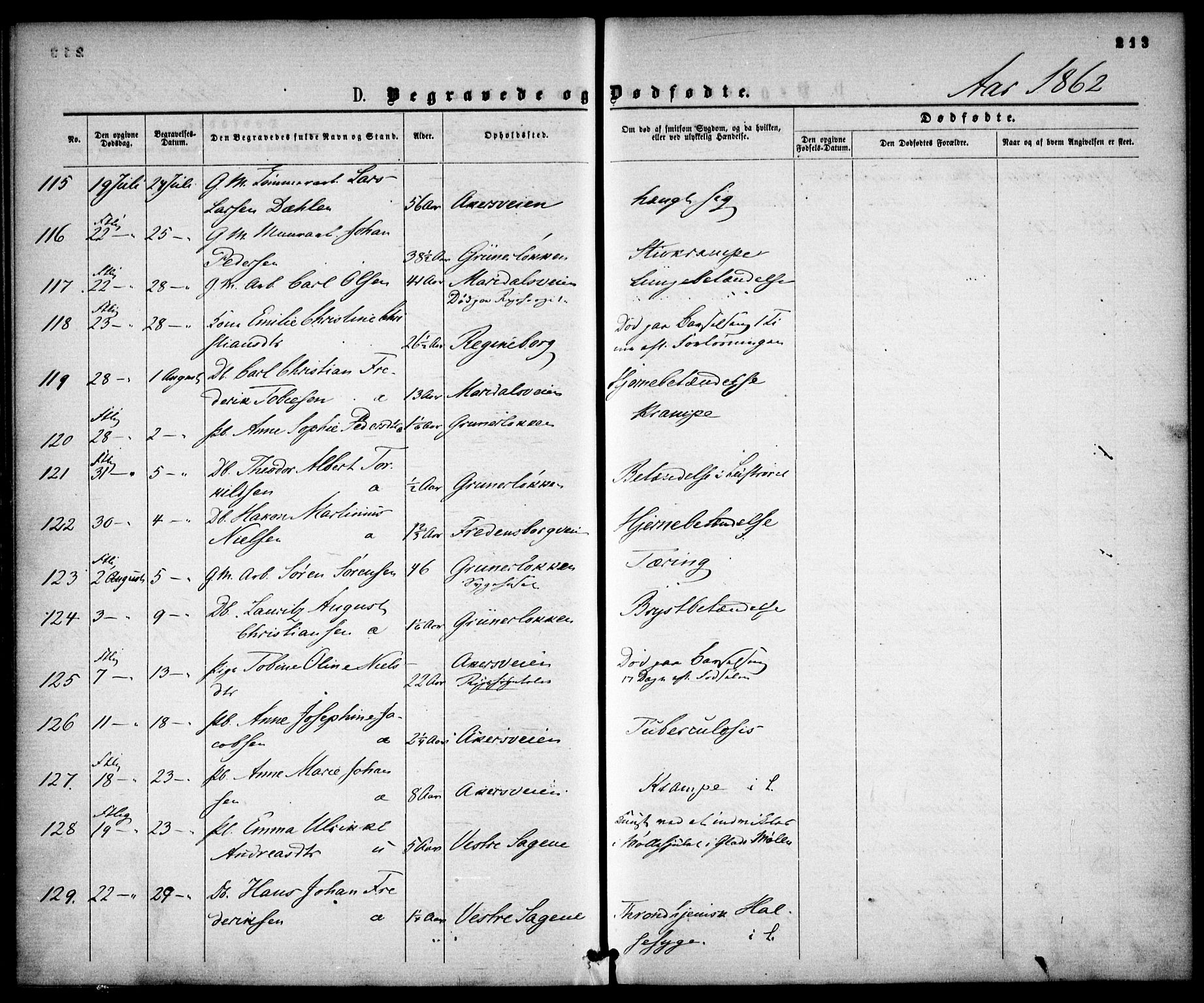 Gamle Aker prestekontor Kirkebøker, AV/SAO-A-10617a/F/L0001: Parish register (official) no. 1, 1861-1865, p. 213