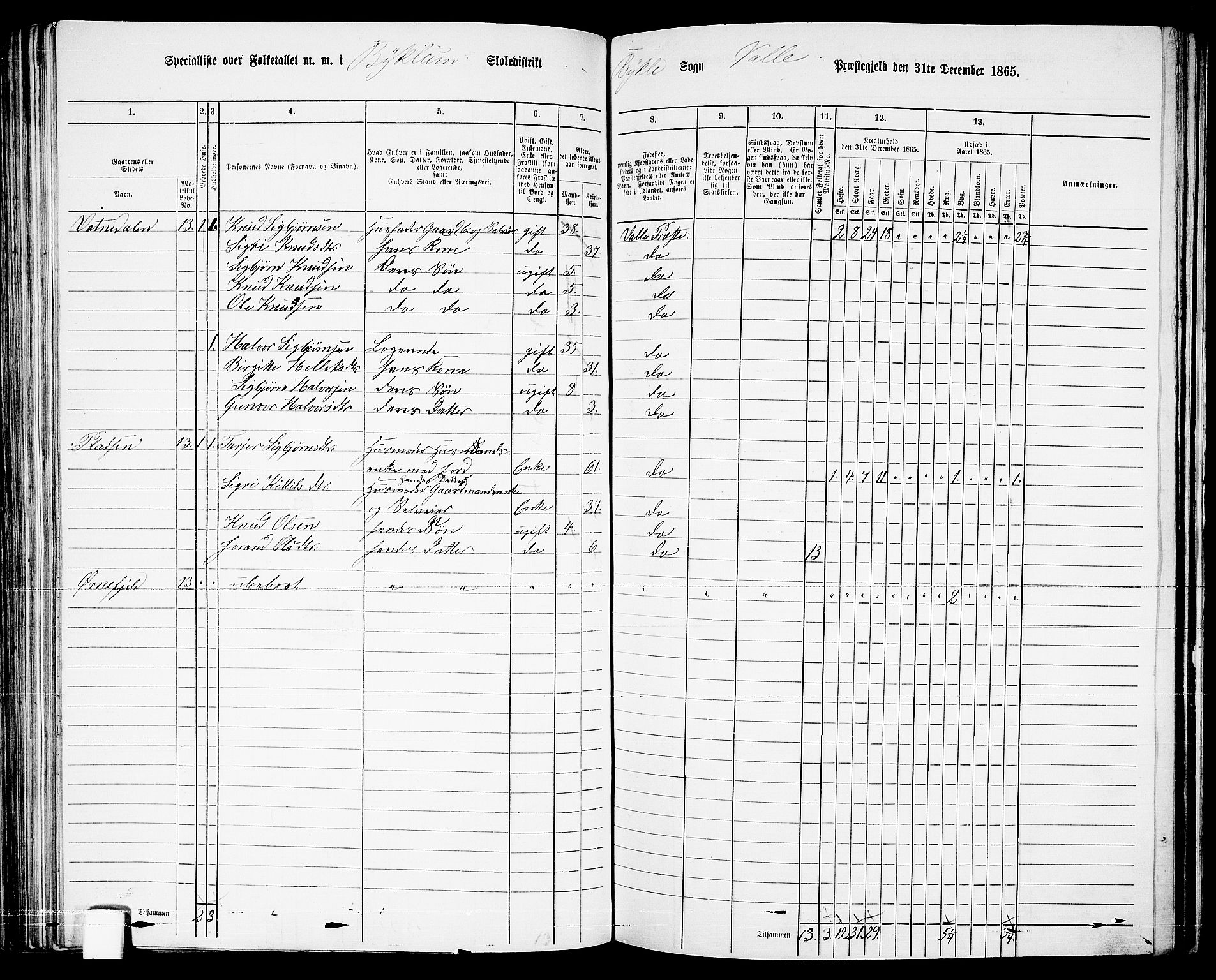 RA, 1865 census for Valle, 1865, p. 88