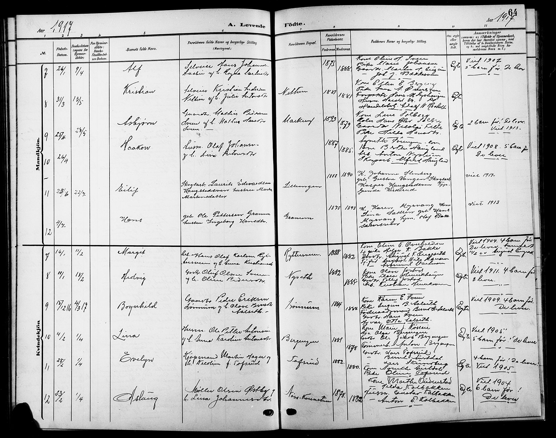 Biri prestekontor, SAH/PREST-096/H/Ha/Hab/L0005: Parish register (copy) no. 5, 1906-1919, p. 64