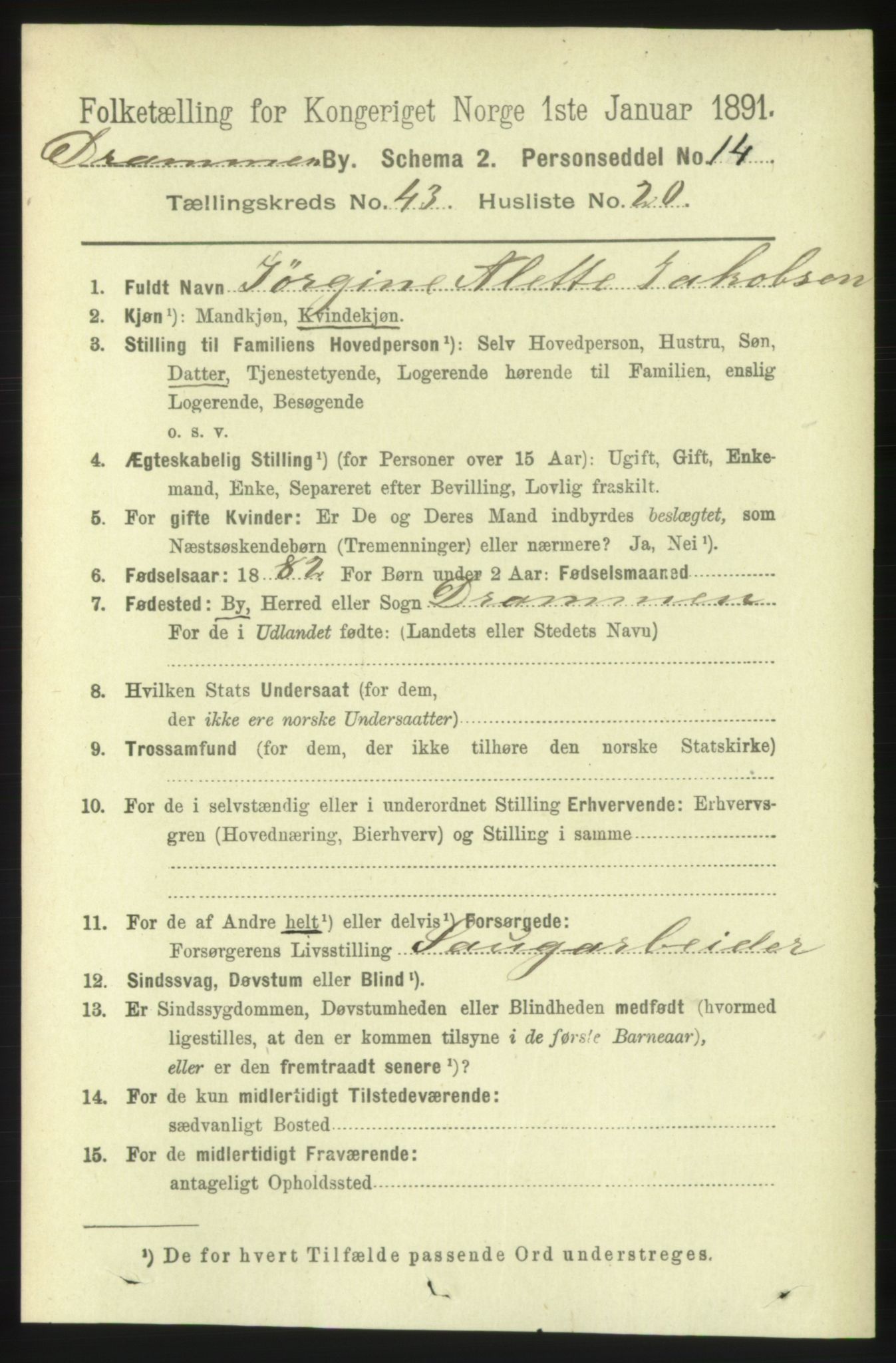 RA, 1891 census for 0602 Drammen, 1891, p. 25391