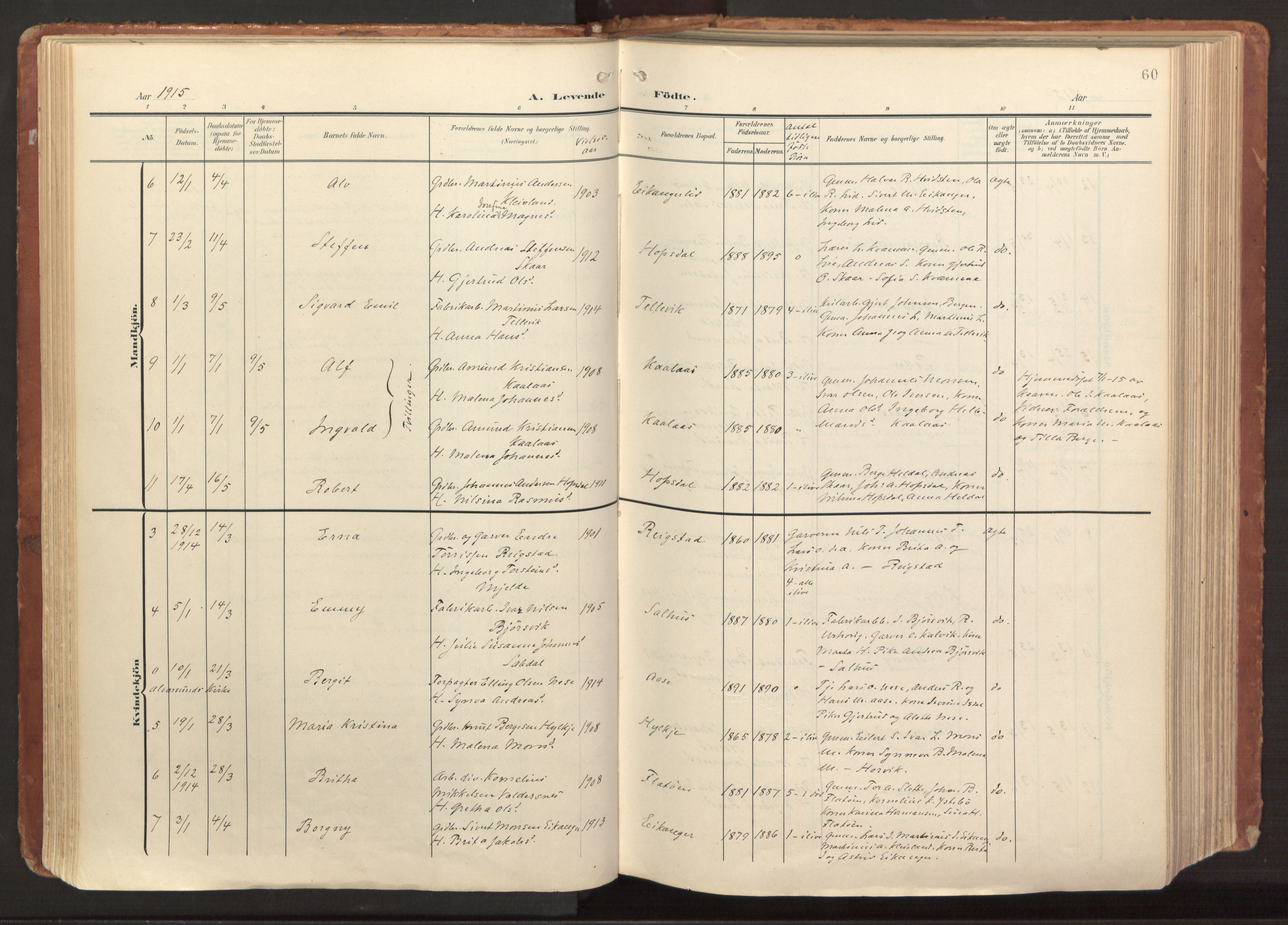 Hamre sokneprestembete, AV/SAB-A-75501/H/Ha/Haa/Haab/L0002: Parish register (official) no. B 2, 1905-1924, p. 60