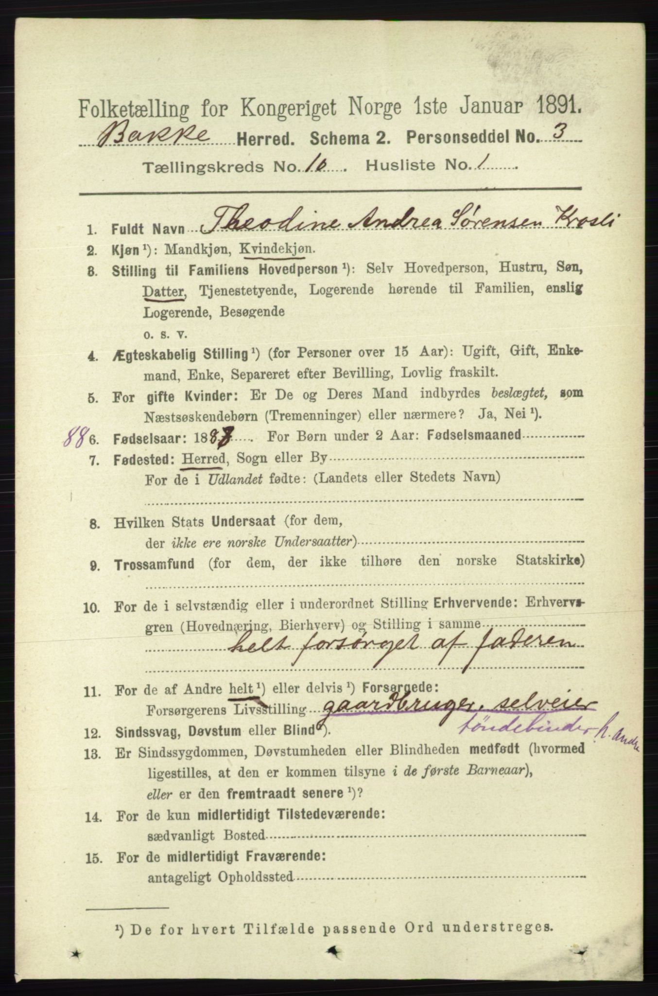 RA, 1891 census for 1045 Bakke, 1891, p. 2004